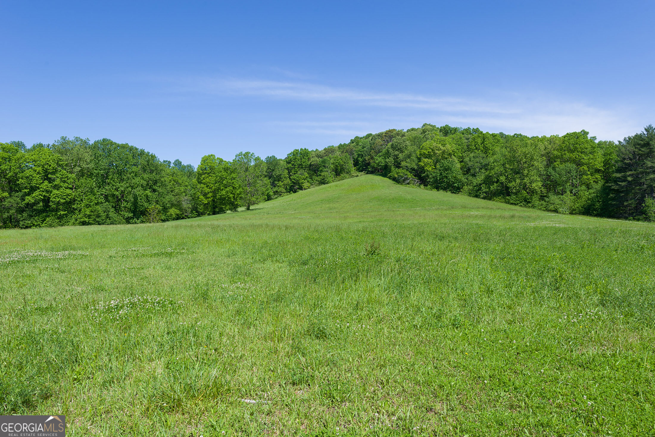 7362 Bridge Creek Road Tiger GA 30576