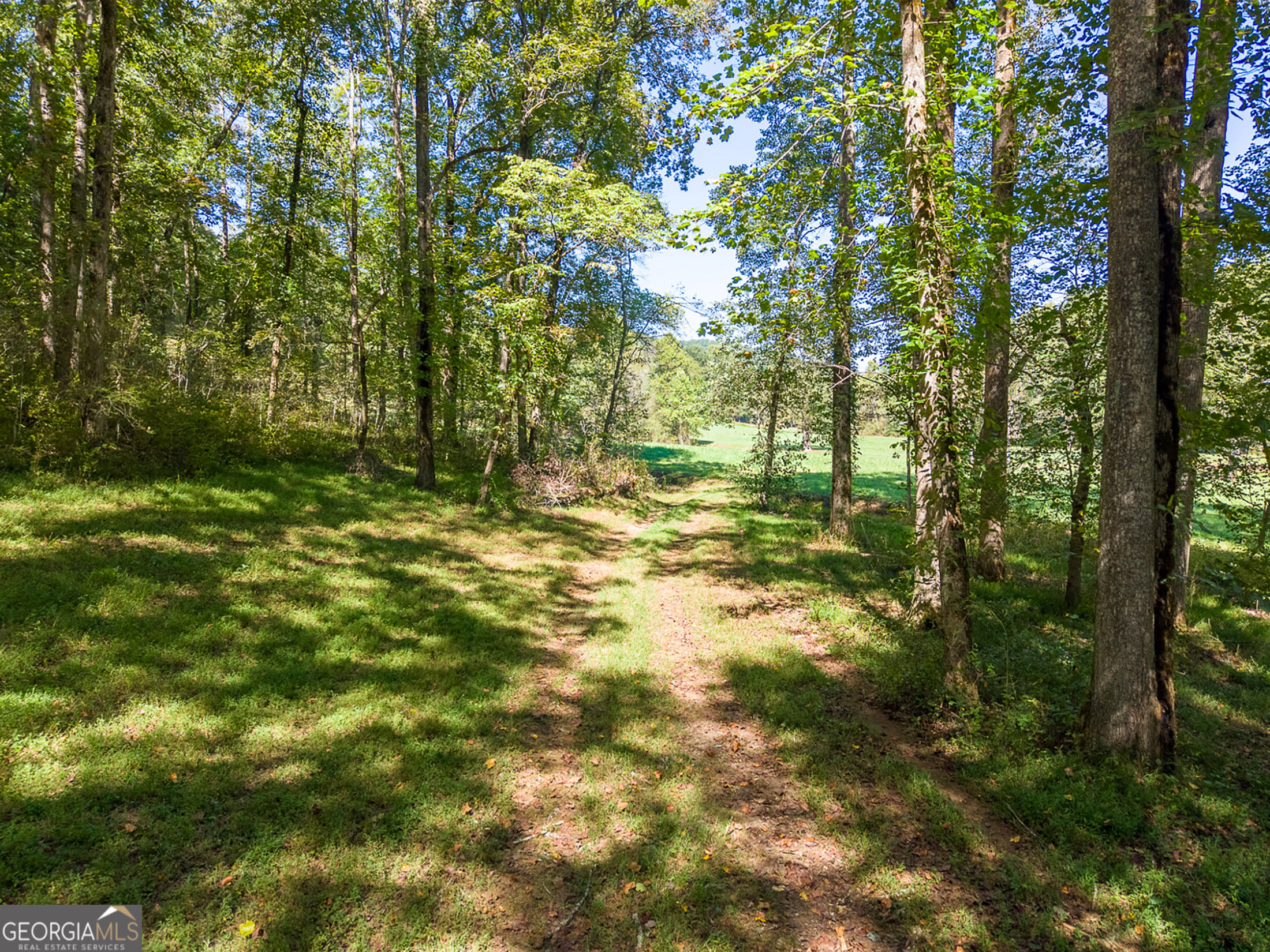 7362 Bridge Creek Road Tiger GA 30576