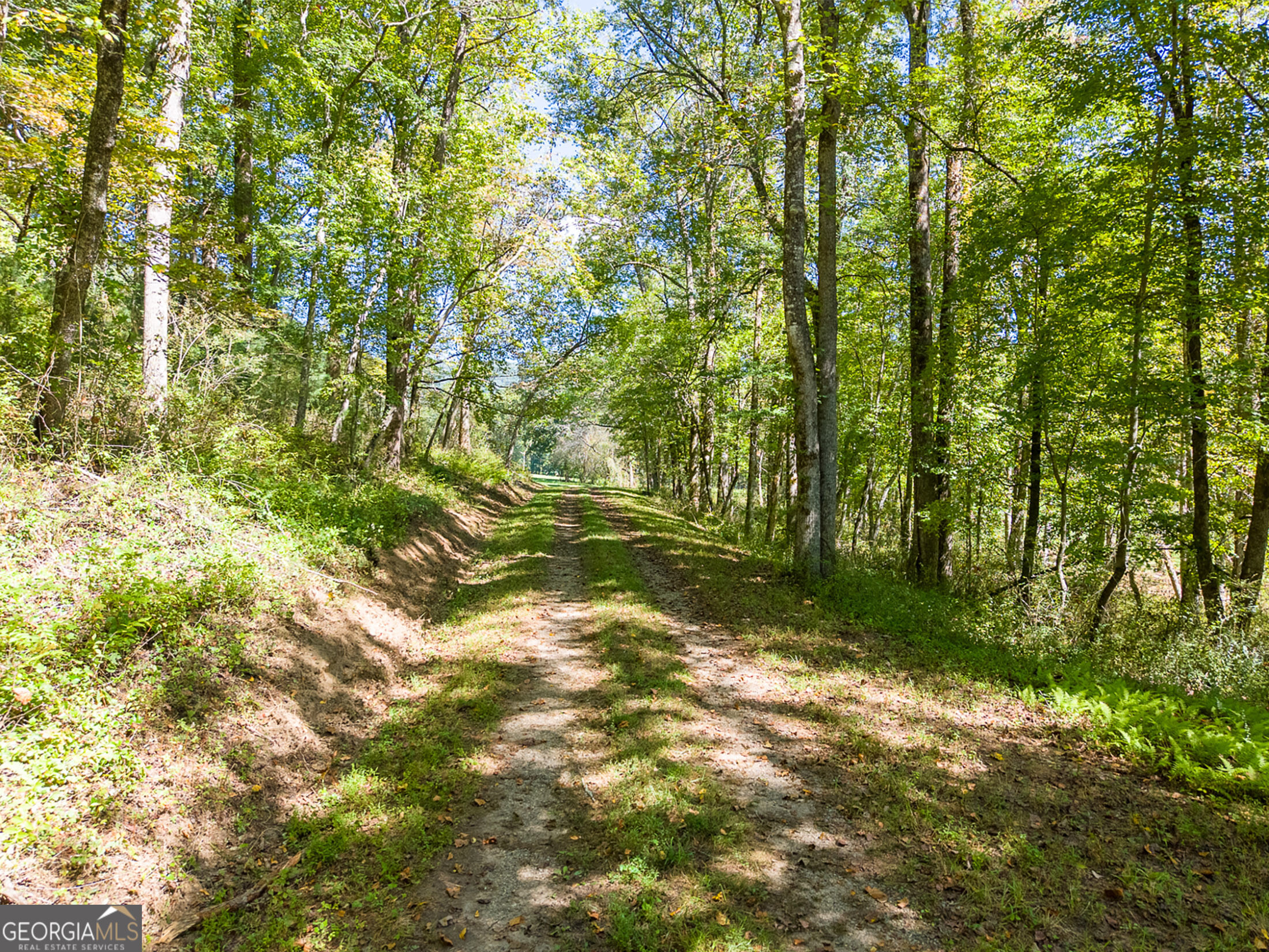 7362 Bridge Creek Road Tiger GA 30576