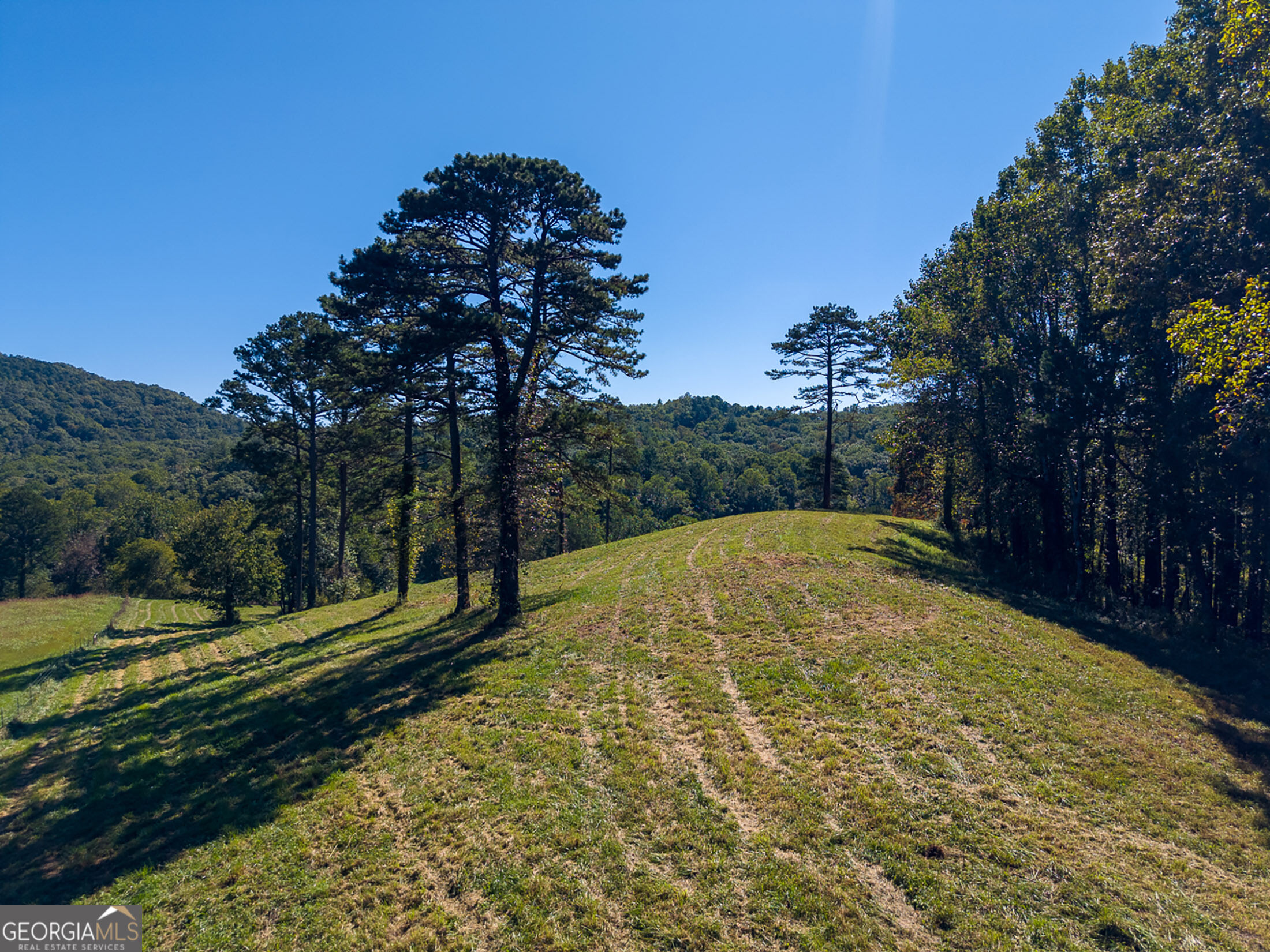 7362 Bridge Creek Road Tiger GA 30576