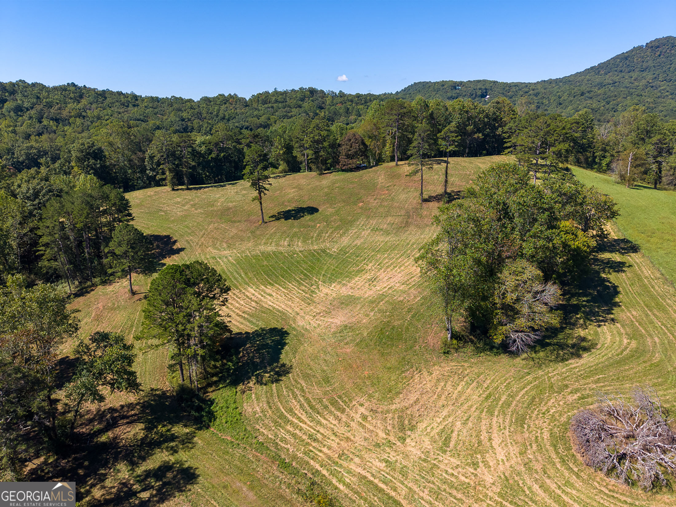 7362 Bridge Creek Road Tiger GA 30576