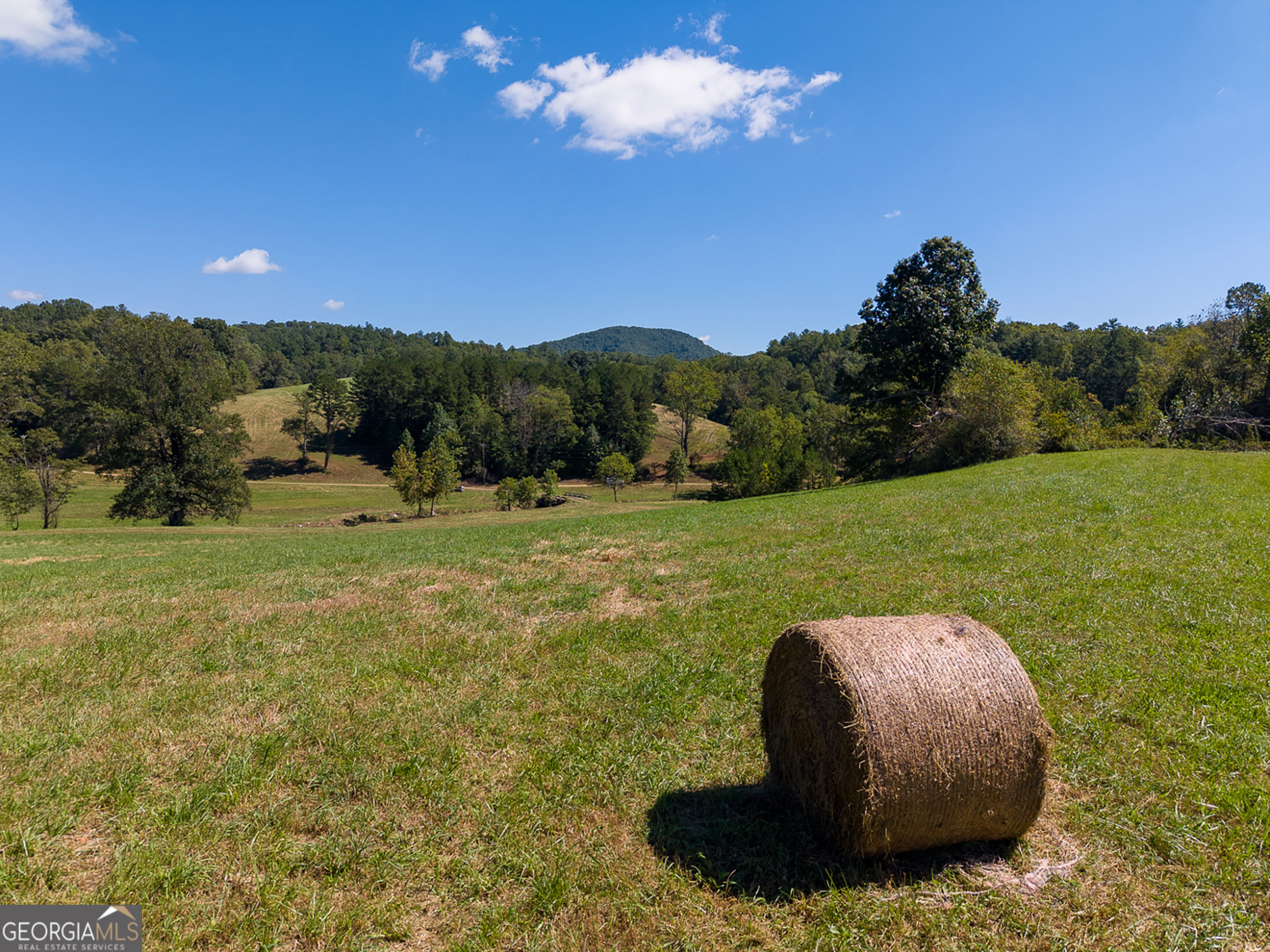7362 Bridge Creek Road Tiger GA 30576