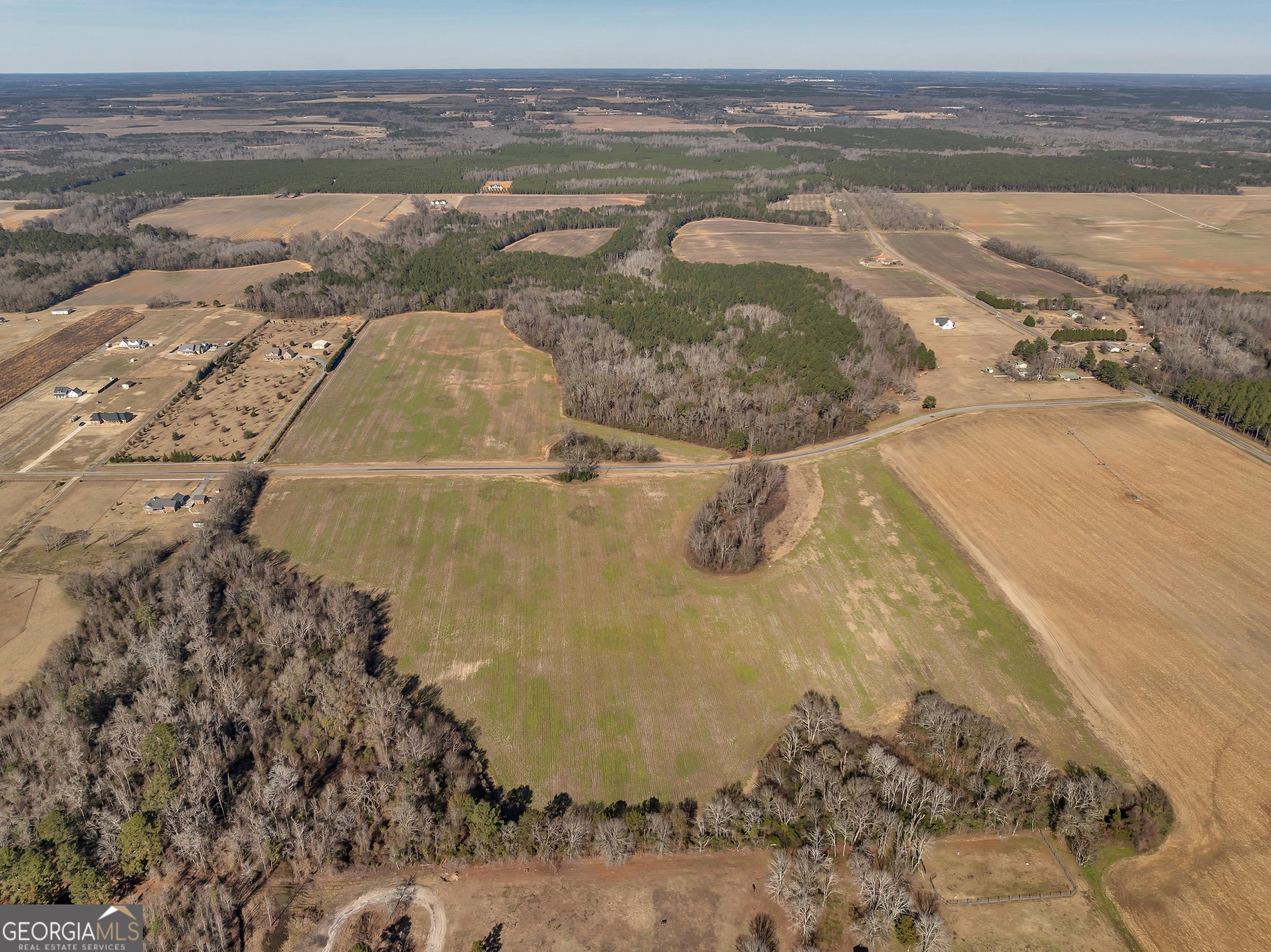 0 Williams Circle Elko GA 31025