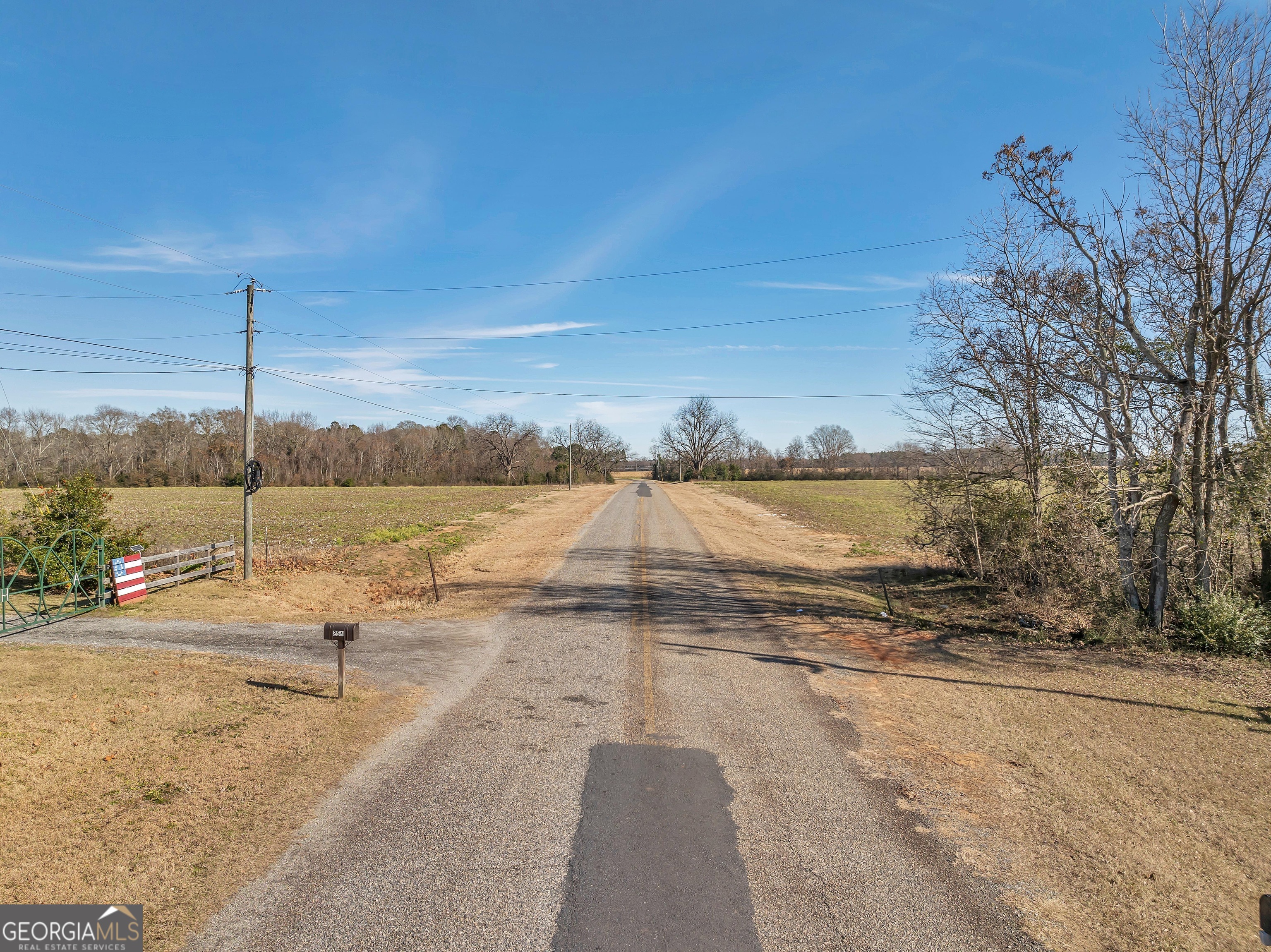 0 Williams Circle Elko GA 31025