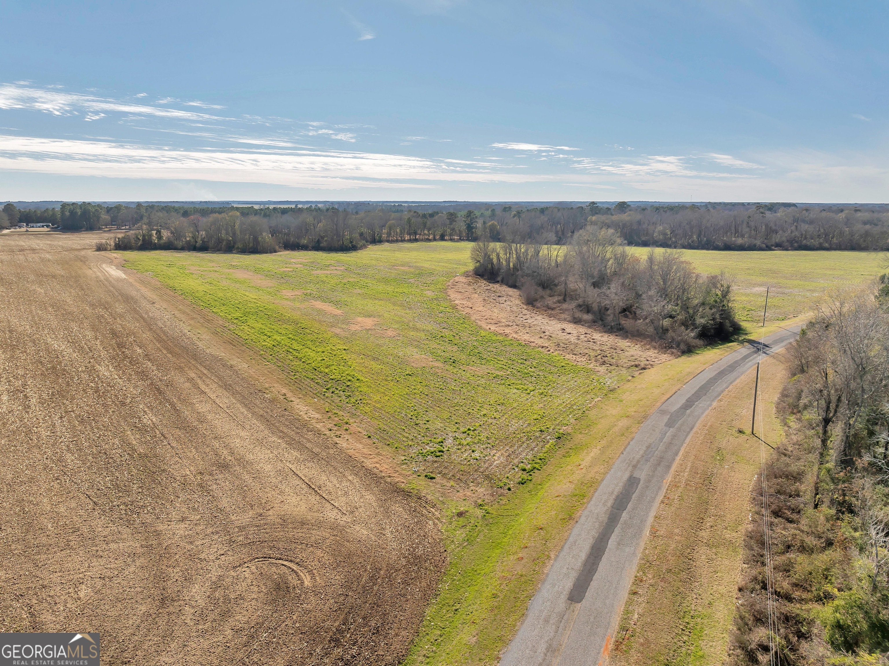 0 Williams Circle Elko GA 31025