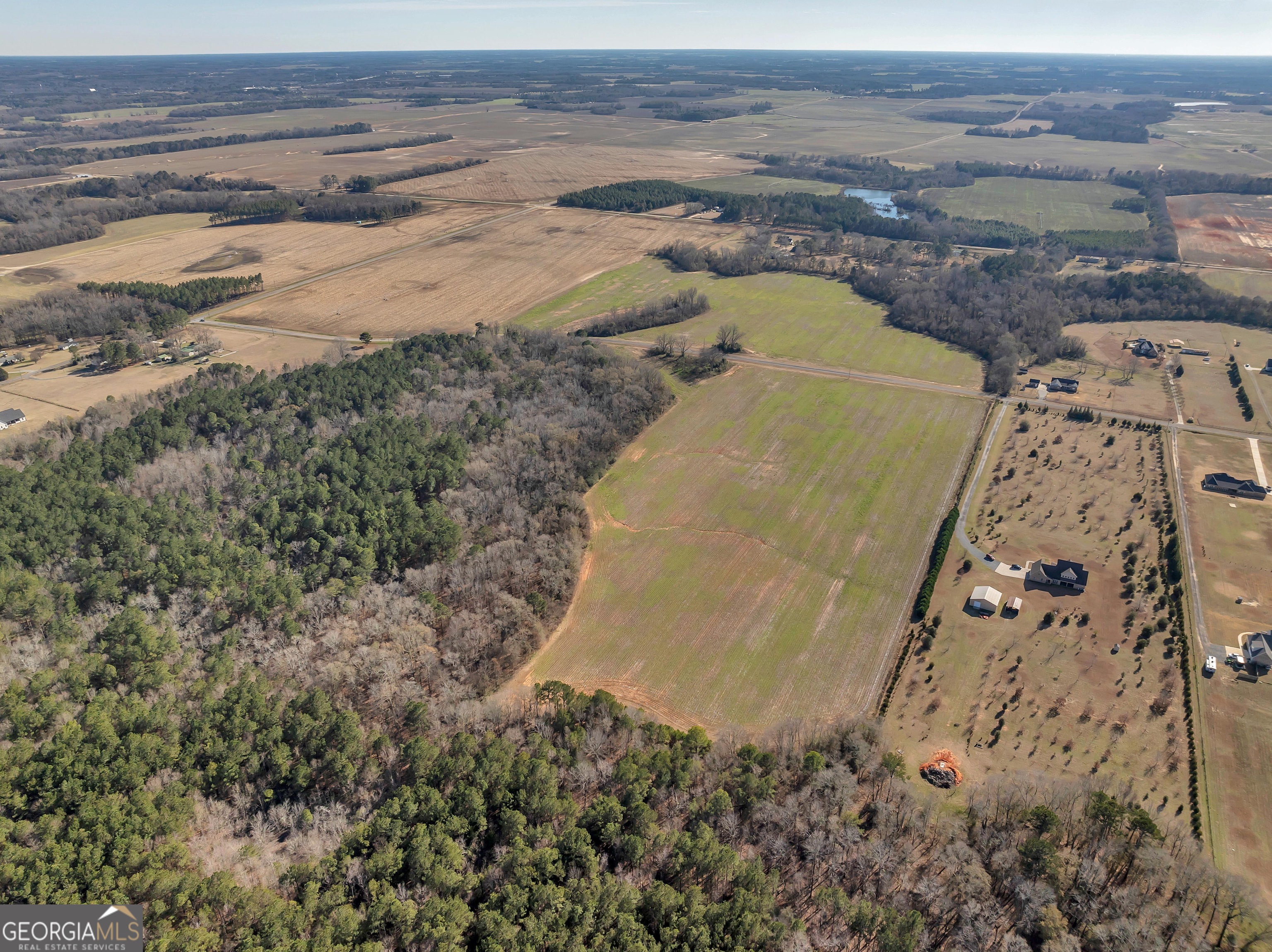 0 Williams Circle Elko GA 31025
