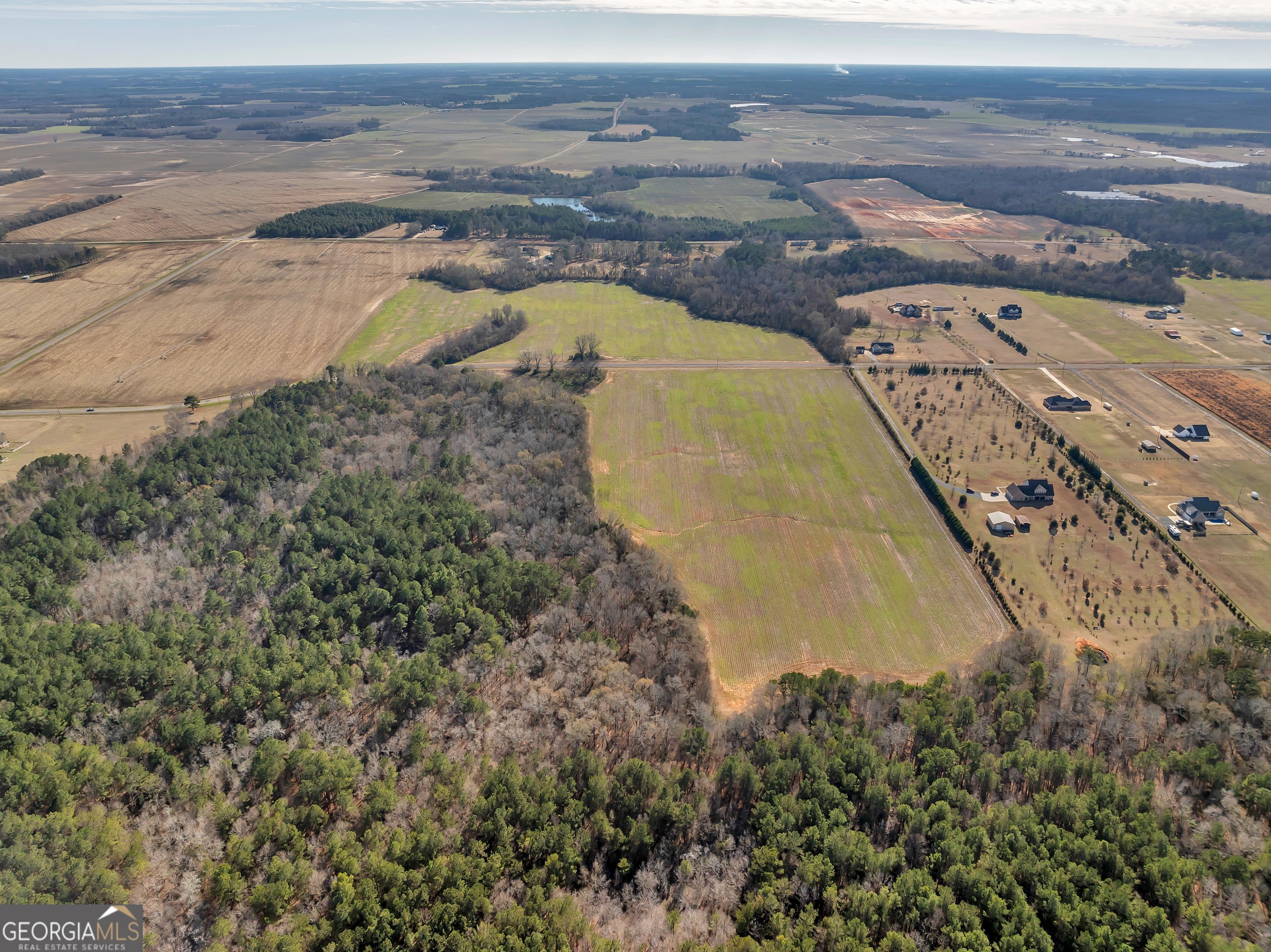 0 Williams Circle Elko GA 31025