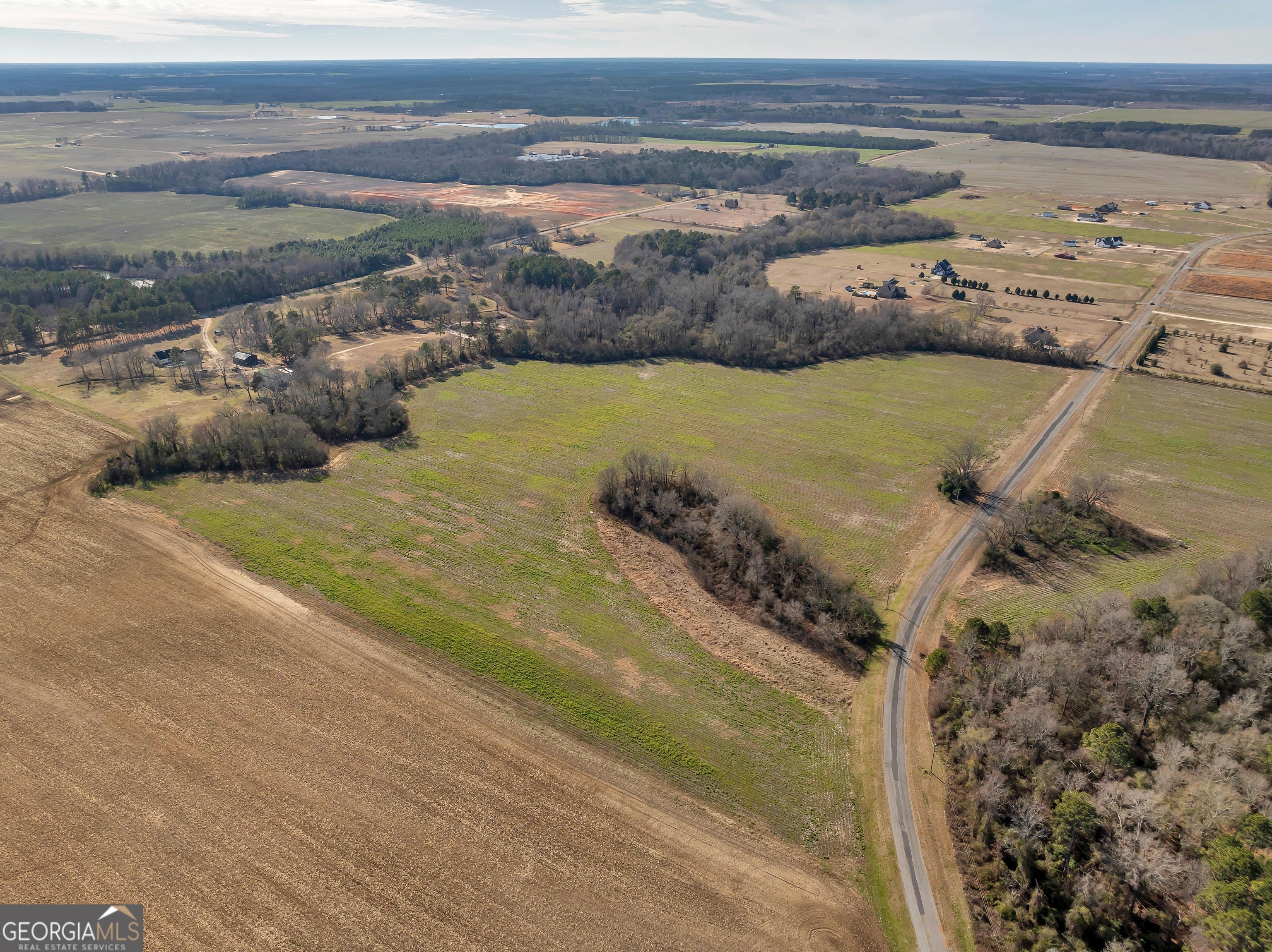 0 Williams Circle Elko GA 31025