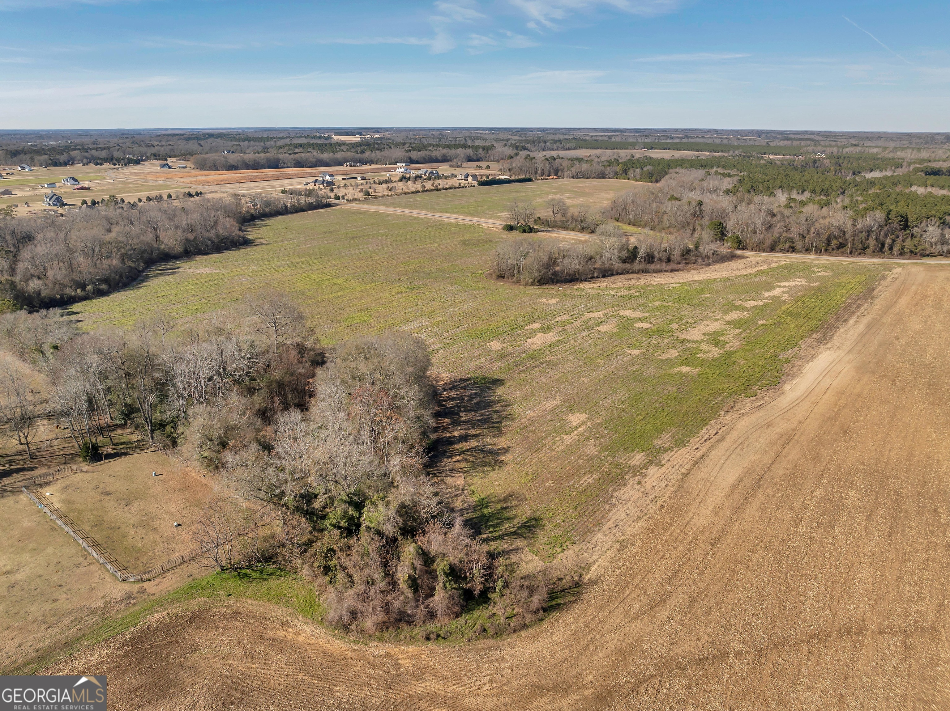 0 Williams Circle Elko GA 31025