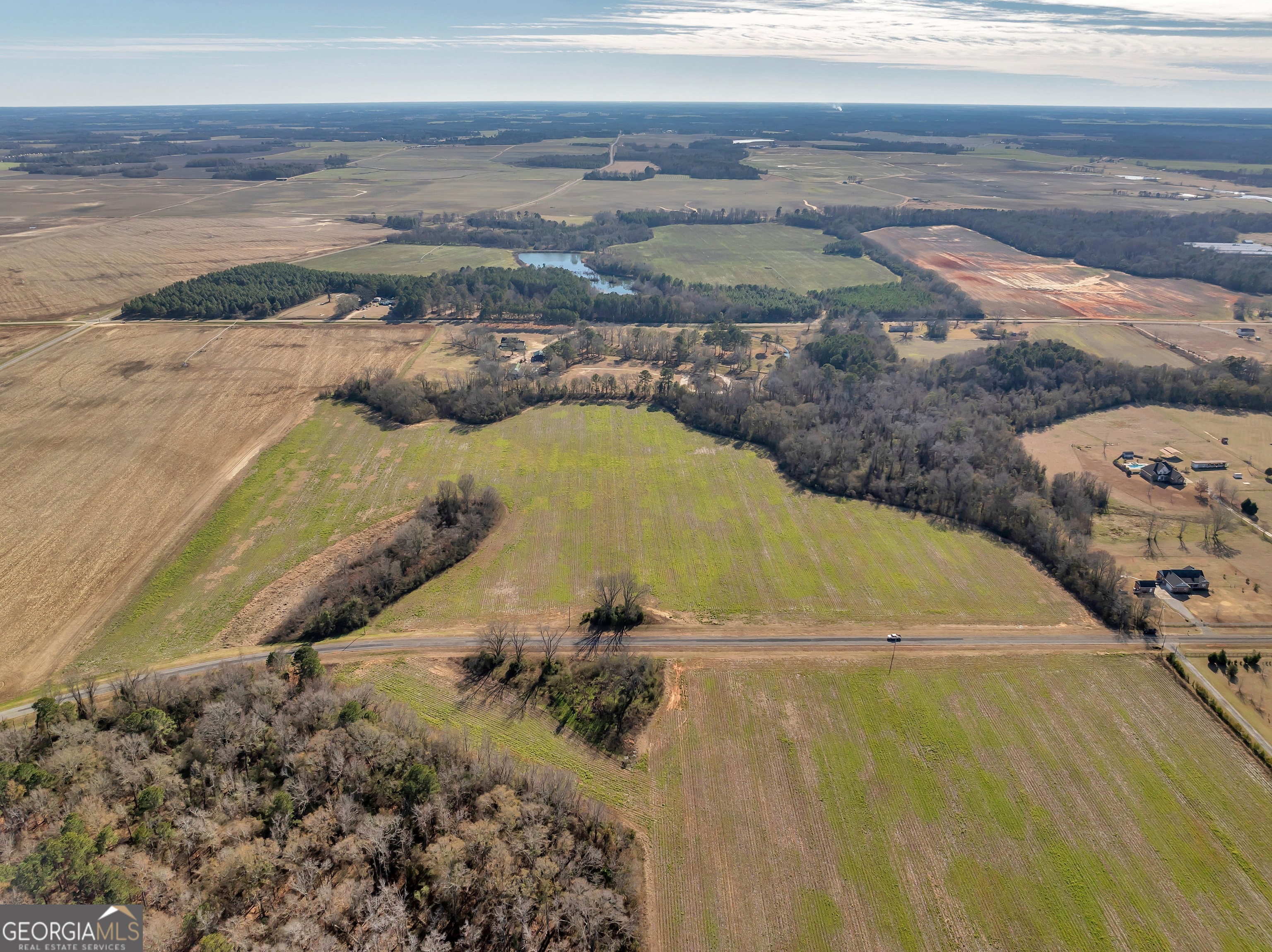 0 Williams Circle Elko GA 31025