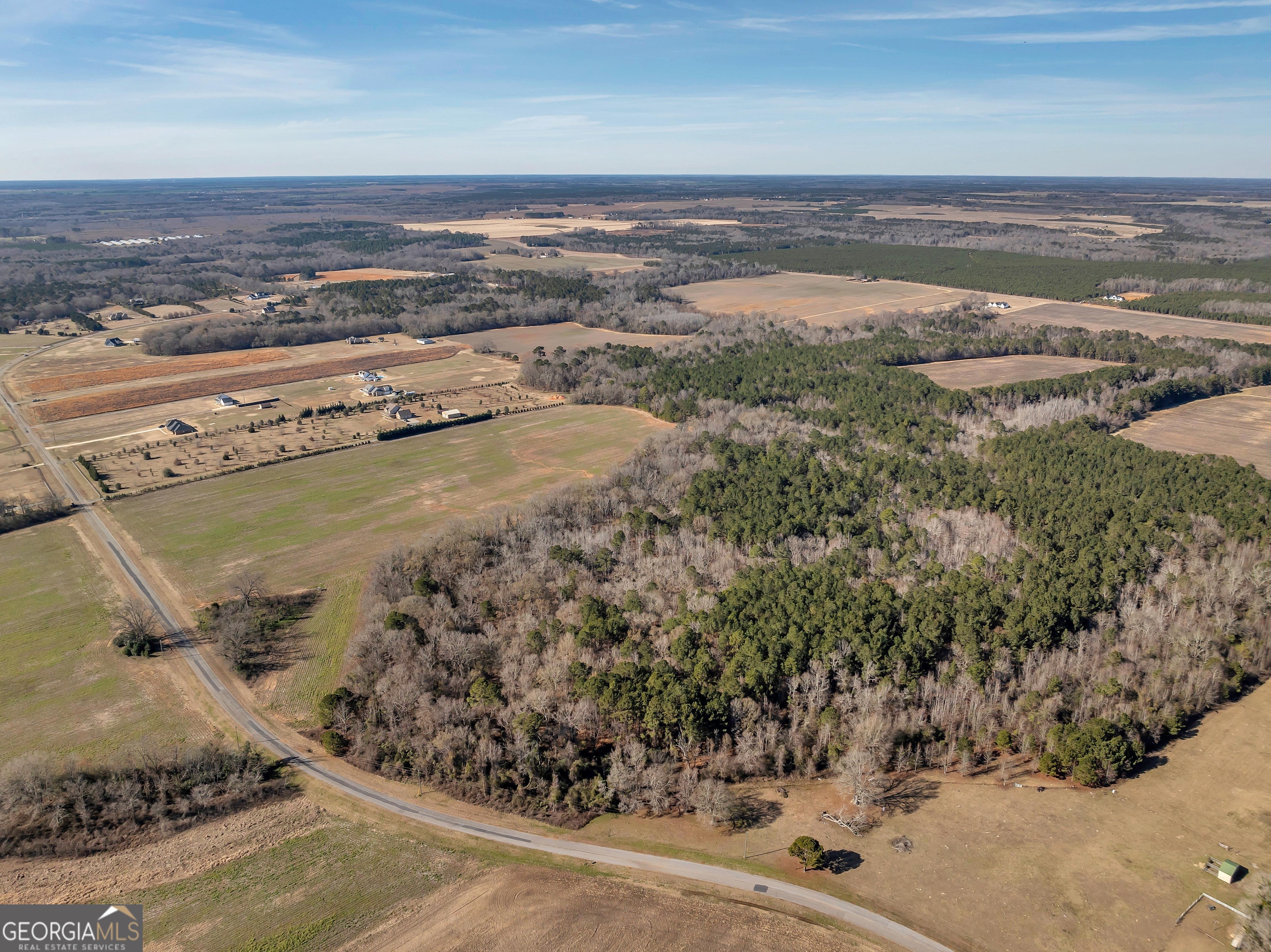 0 Williams Circle Elko GA 31025