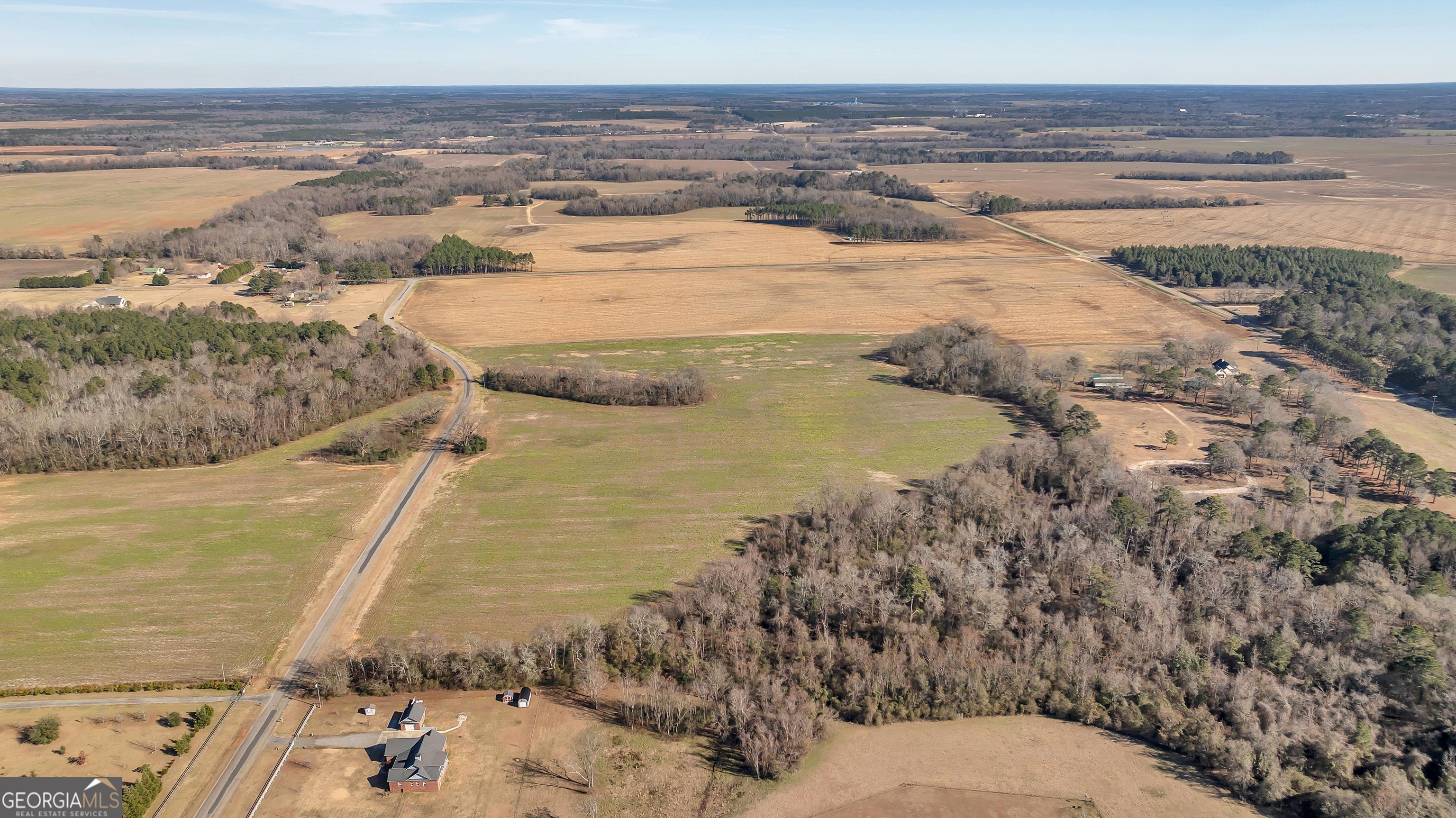0 Williams Circle Elko GA 31025