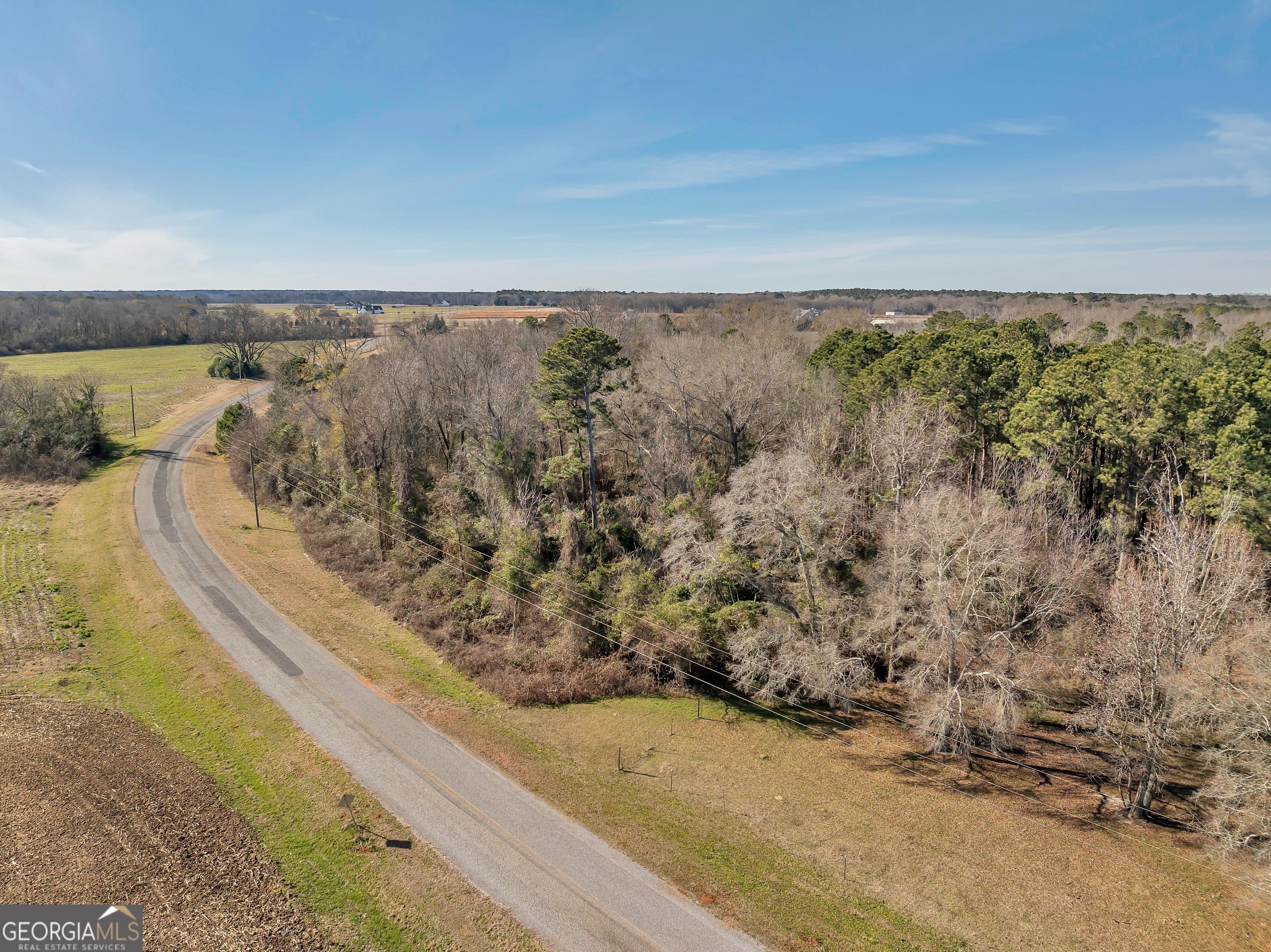 0 Williams Circle Elko GA 31025