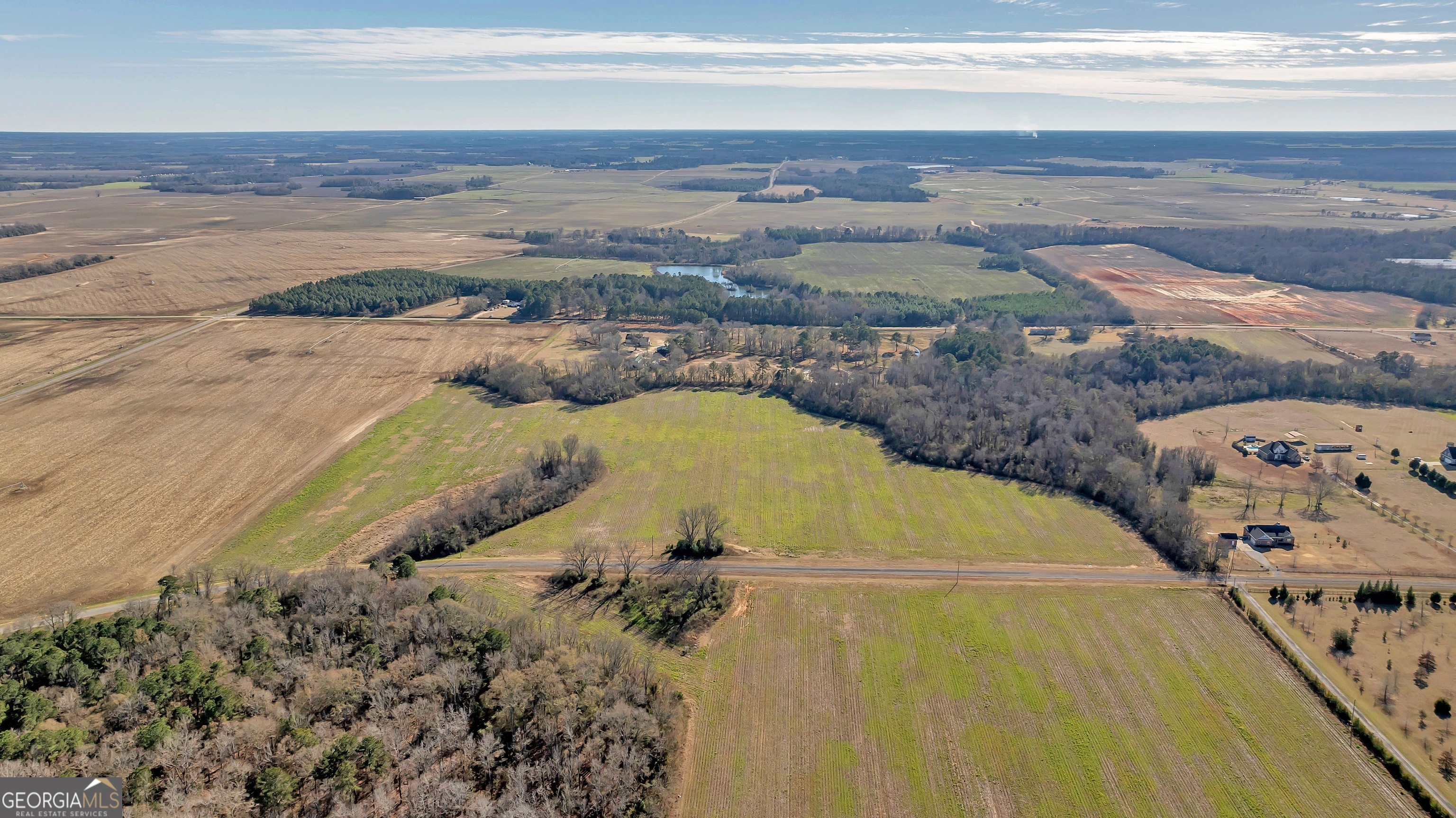 0 Williams Circle Elko GA 31025