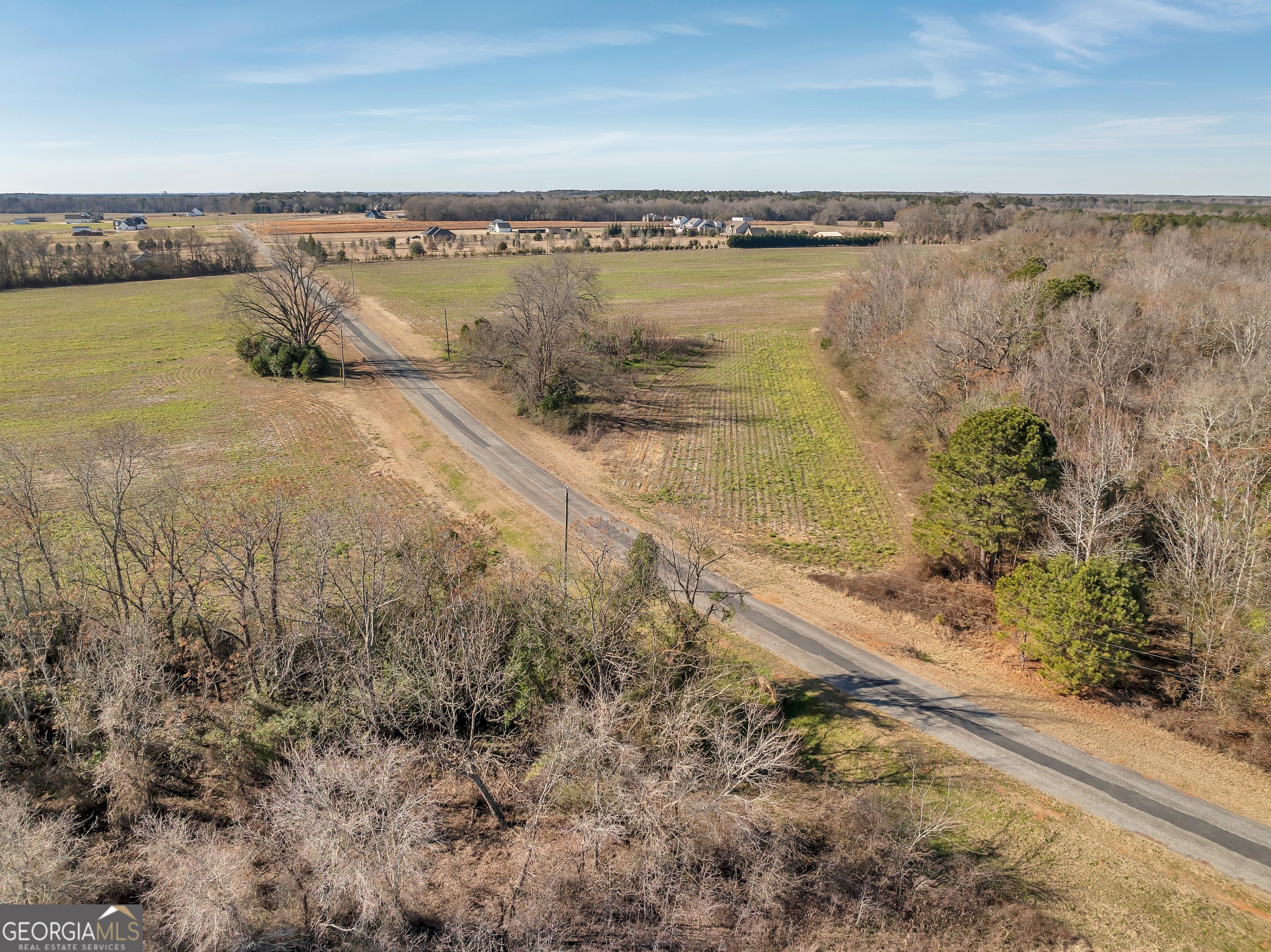 0 Williams Circle Elko GA 31025