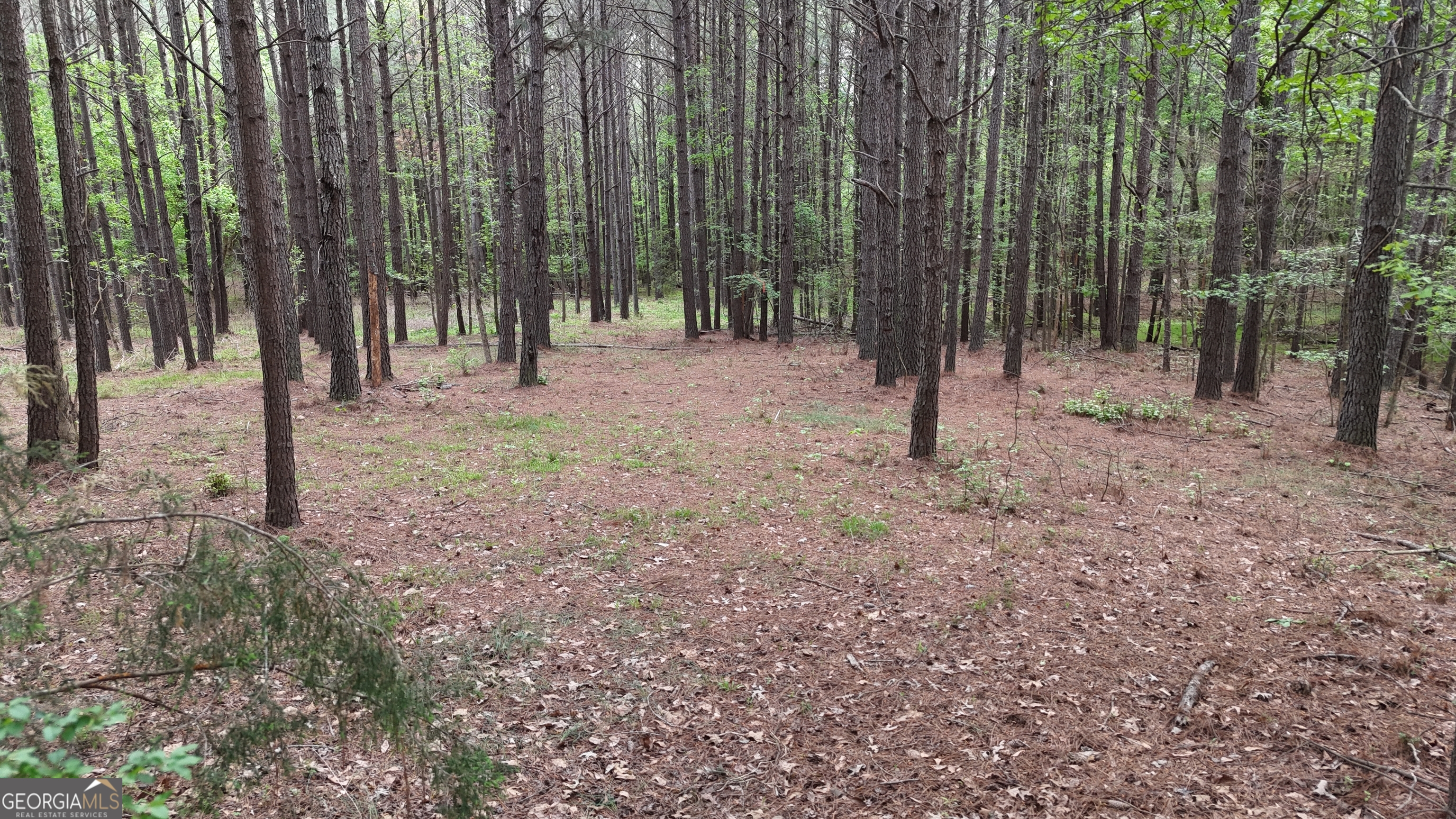 0 Plantation Road Madison GA 30650