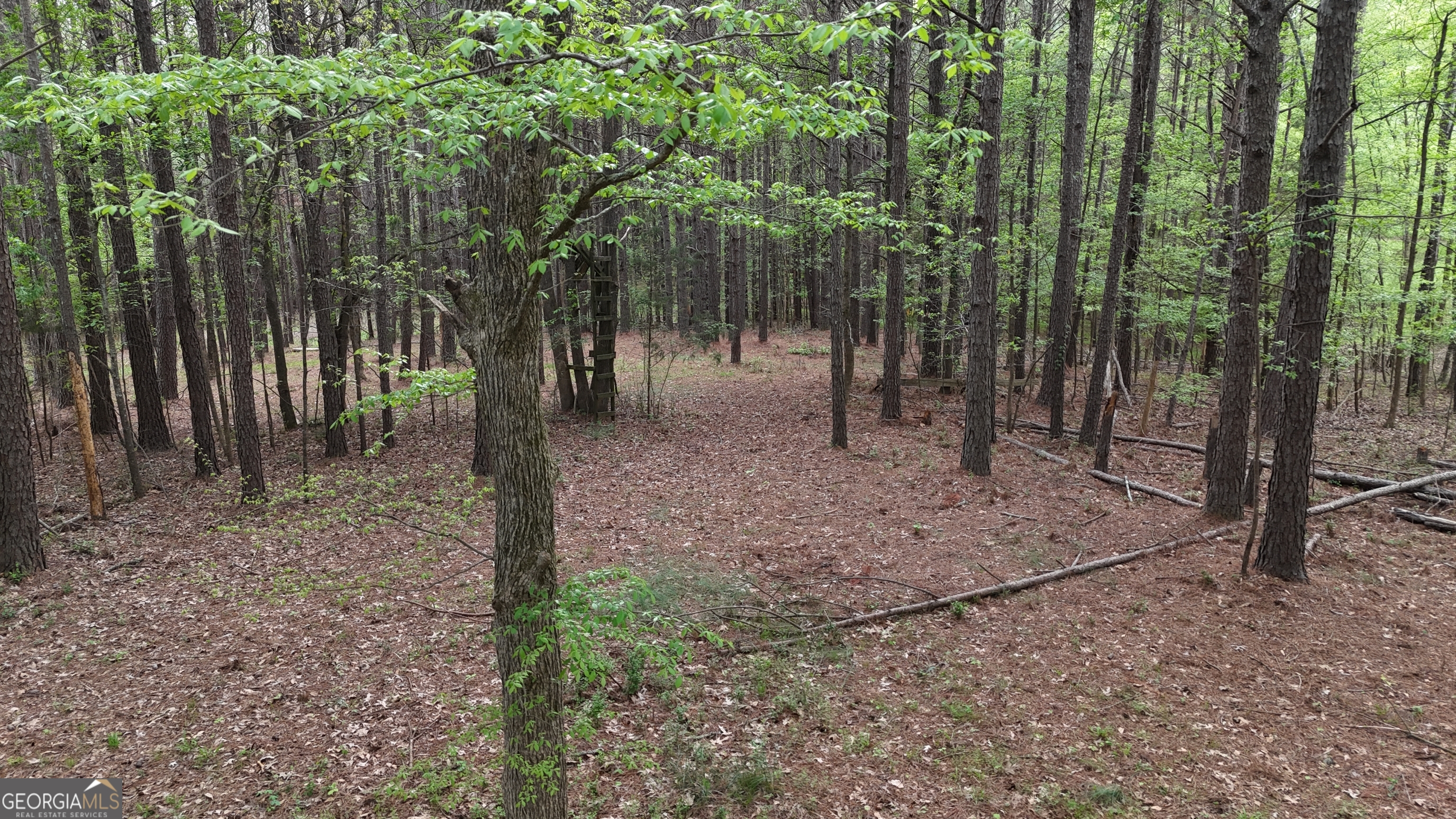 0 Plantation Road Madison GA 30650