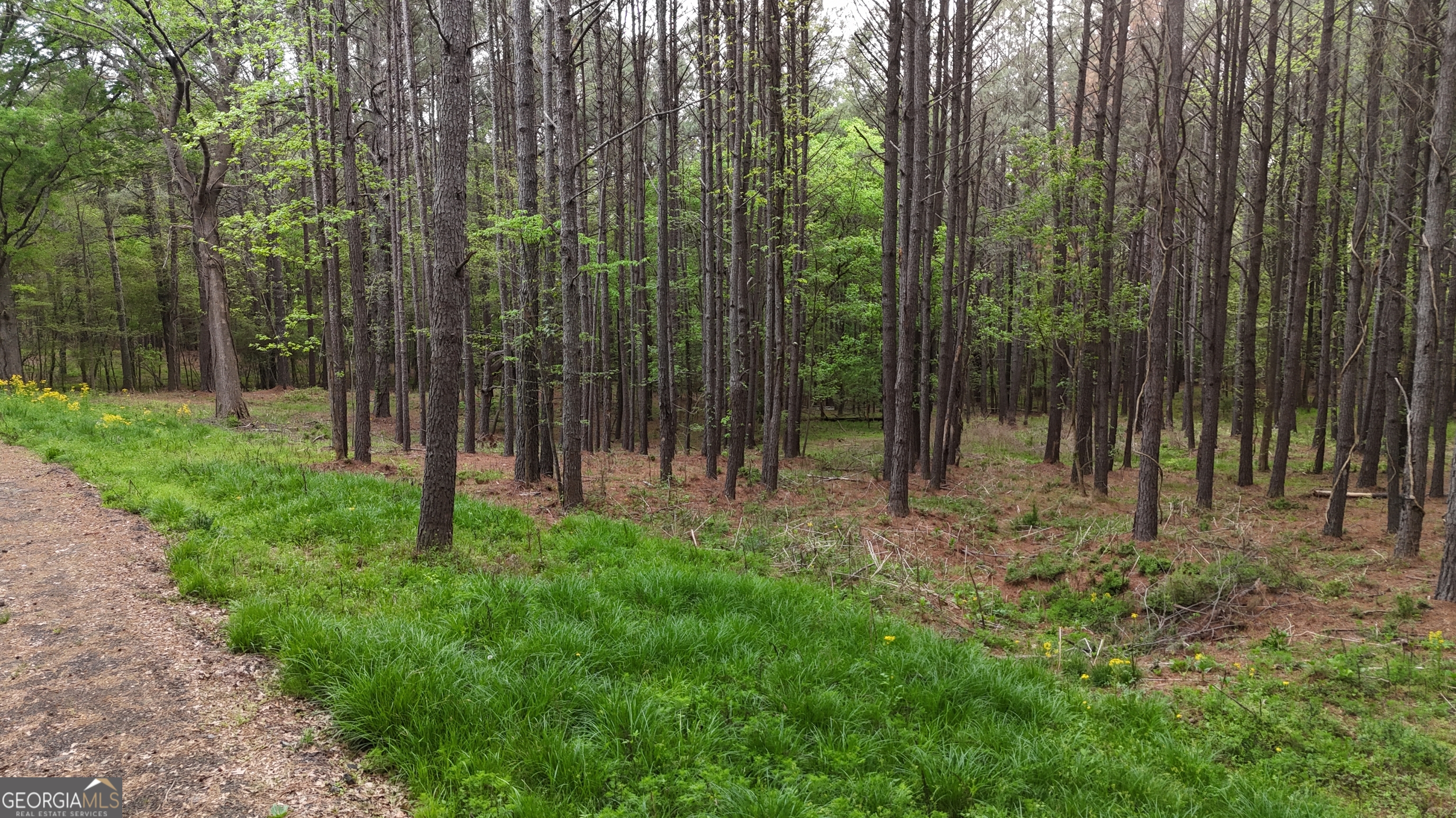 0 Plantation Road Madison GA 30650