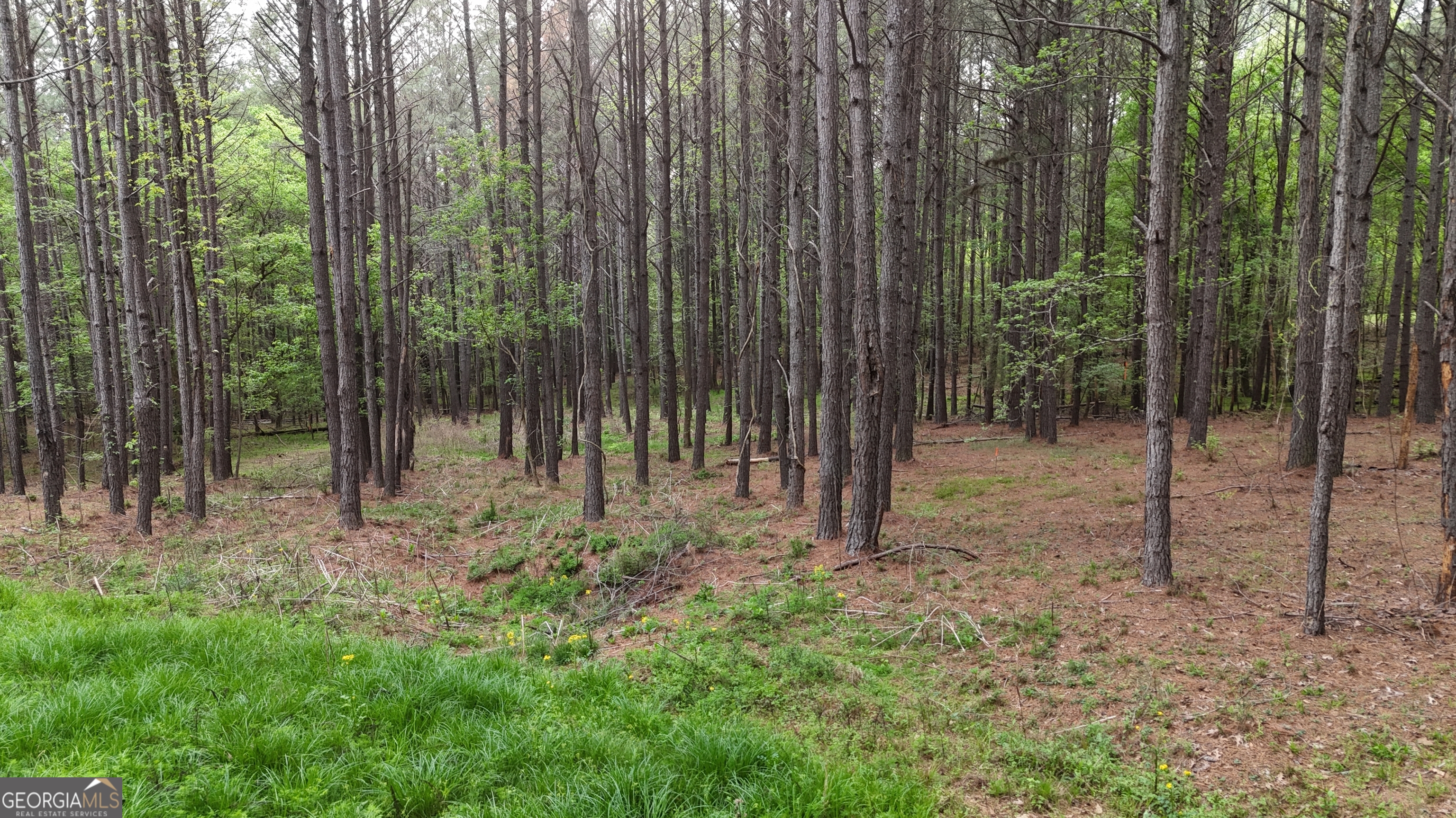 0 Plantation Road Madison GA 30650