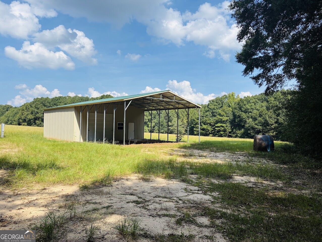 0 Fouche Road Buena Vista GA 31803