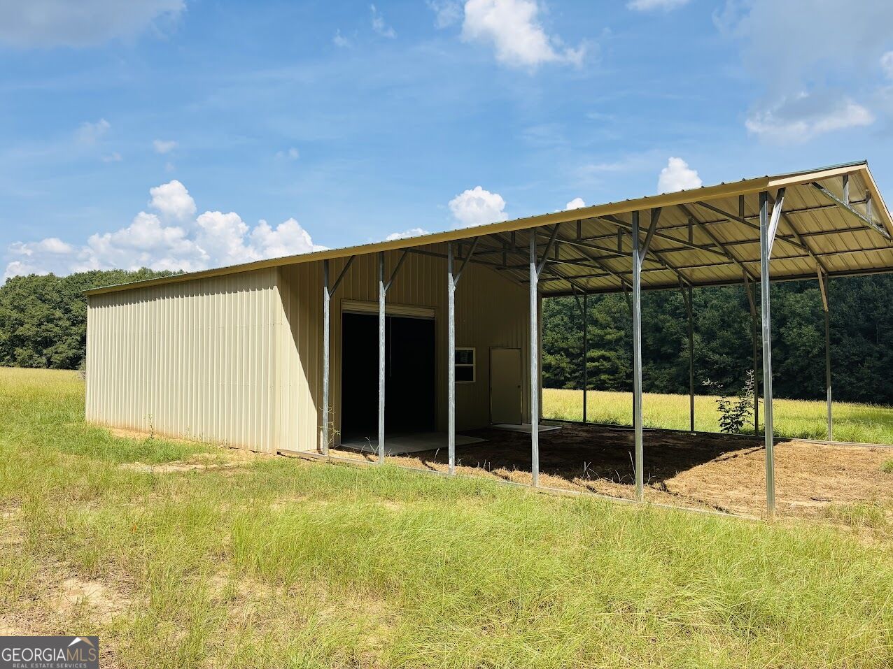 0 Fouche Road Buena Vista GA 31803
