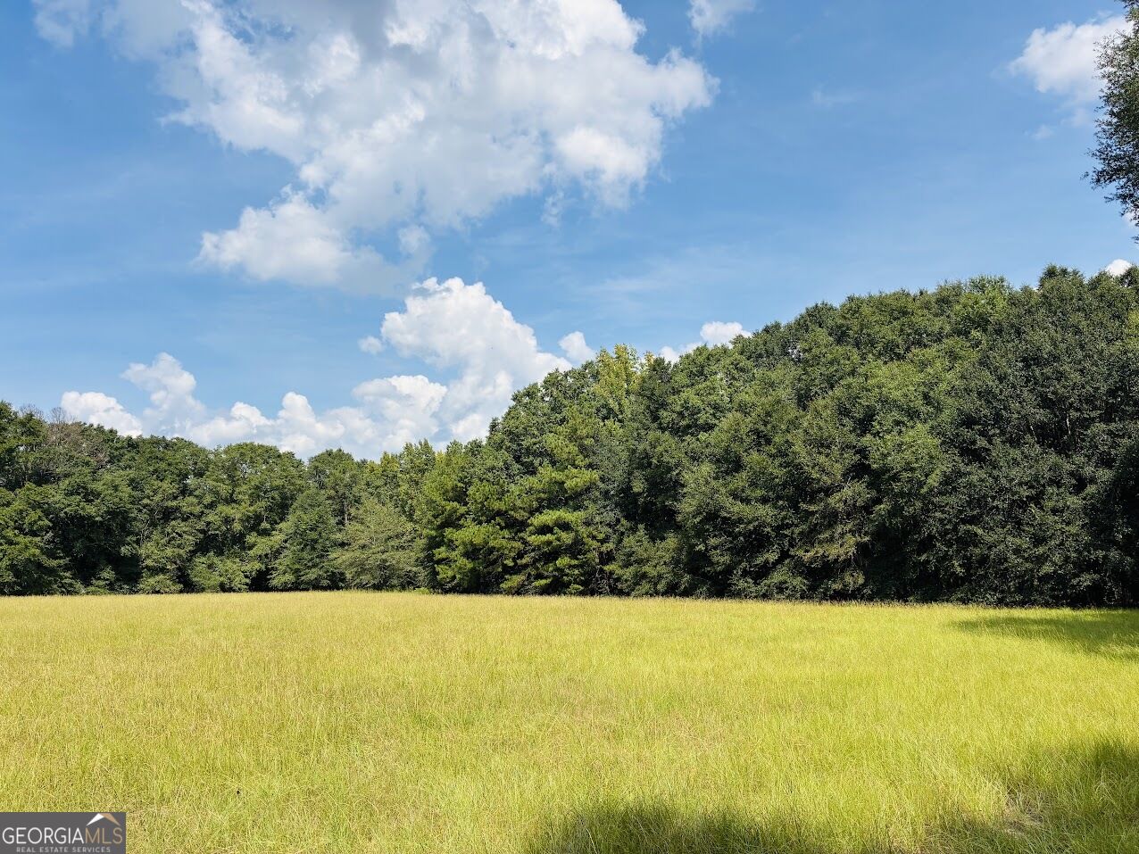 0 Fouche Road Buena Vista GA 31803
