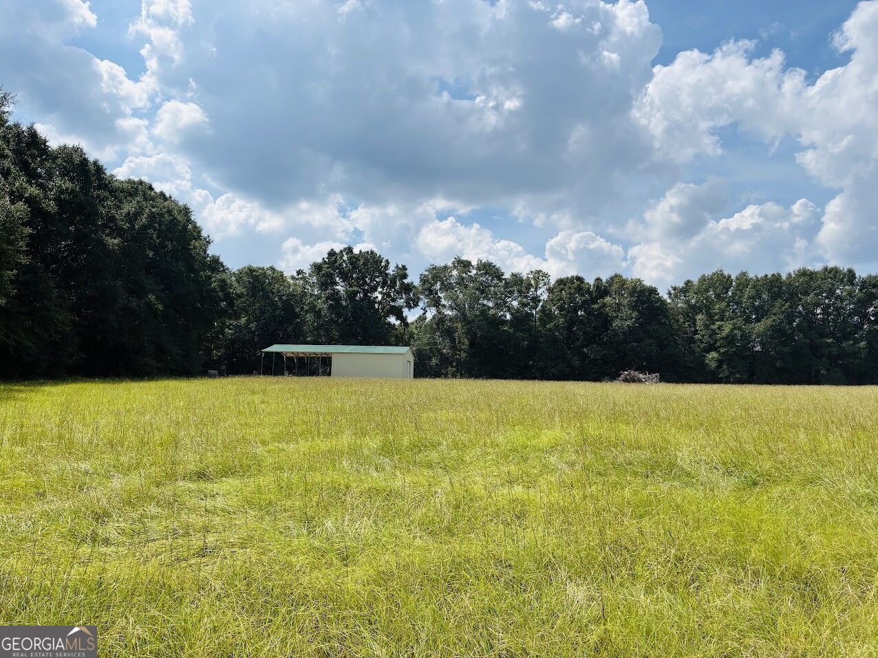 0 Fouche Road Buena Vista GA 31803