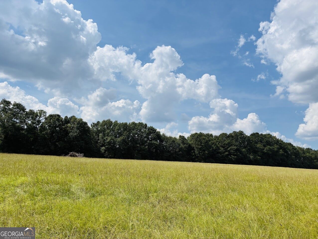 0 Fouche Road Buena Vista GA 31803