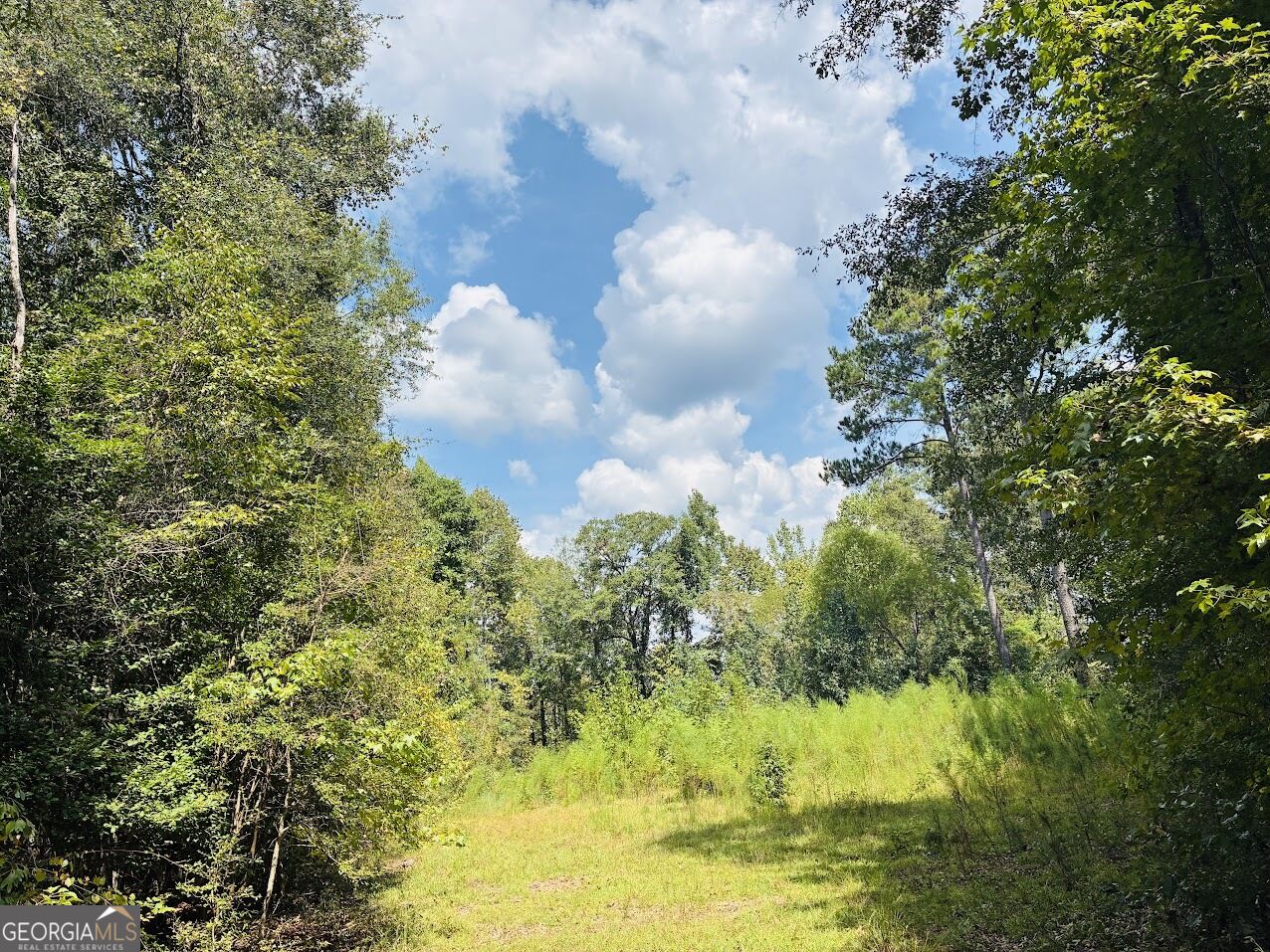 0 Fouche Road Buena Vista GA 31803