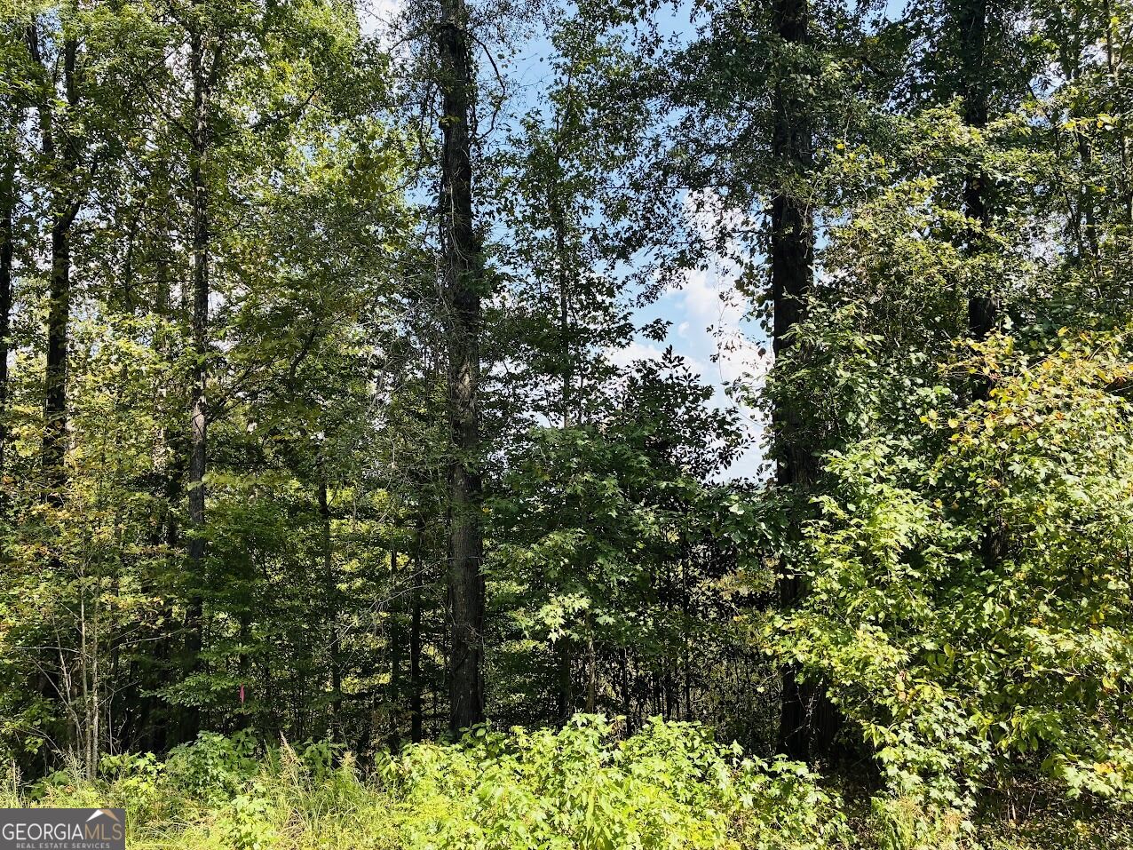 0 Fouche Road Buena Vista GA 31803
