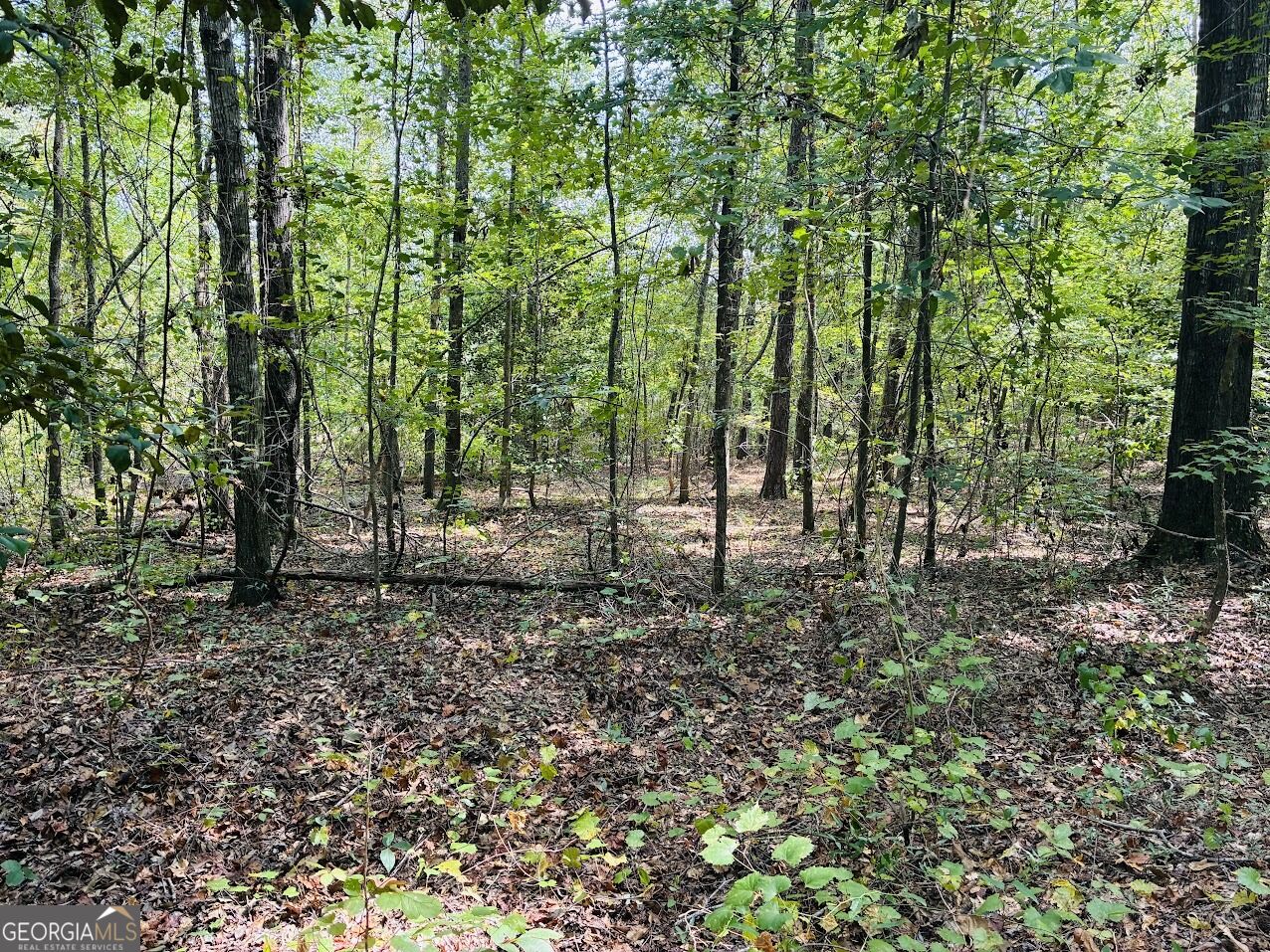 0 Fouche Road Buena Vista GA 31803