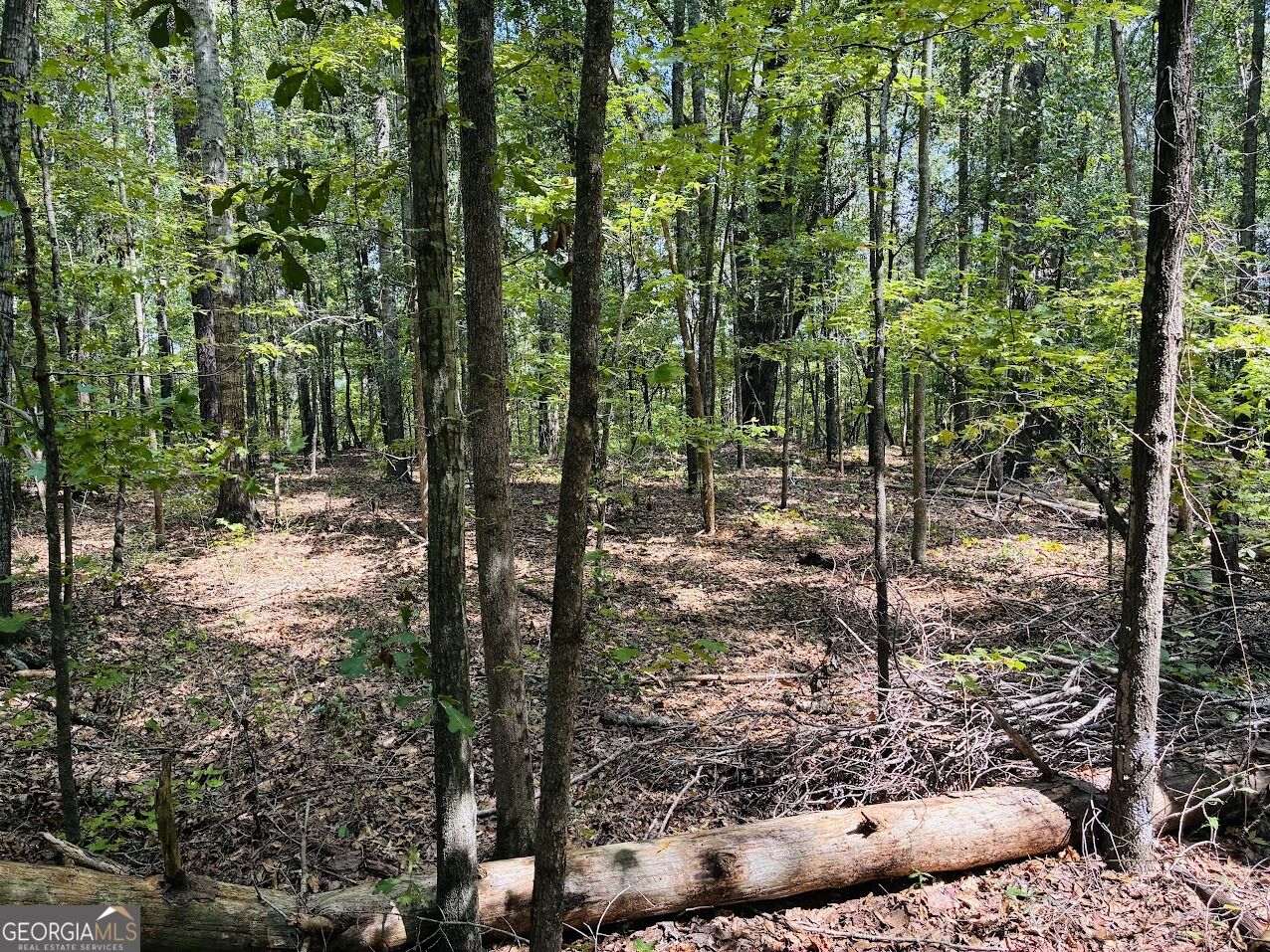 0 Fouche Road Buena Vista GA 31803