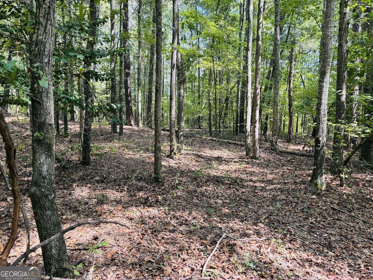 0 Fouche Road Buena Vista GA 31803