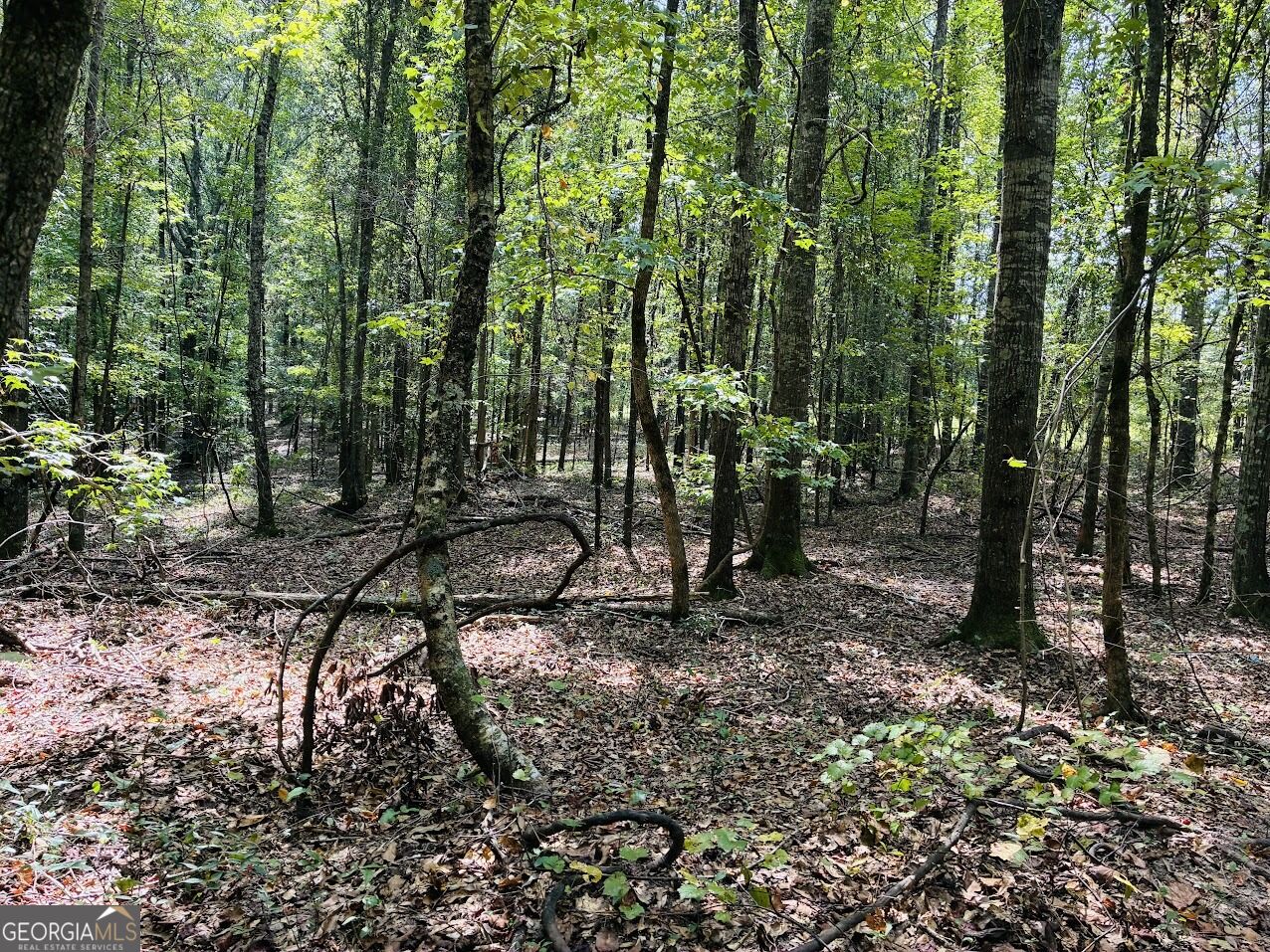 0 Fouche Road Buena Vista GA 31803