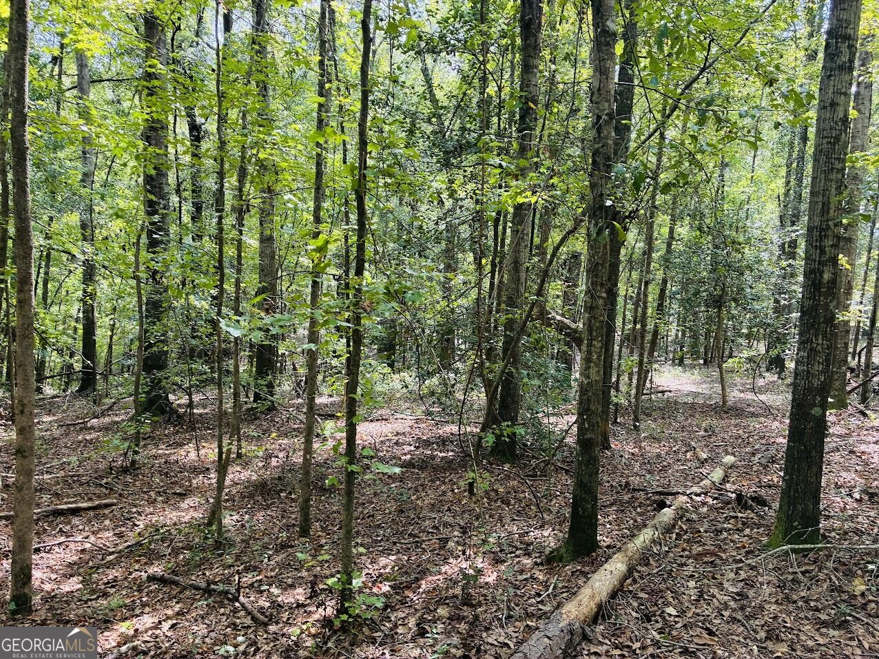 0 Fouche Road Buena Vista GA 31803