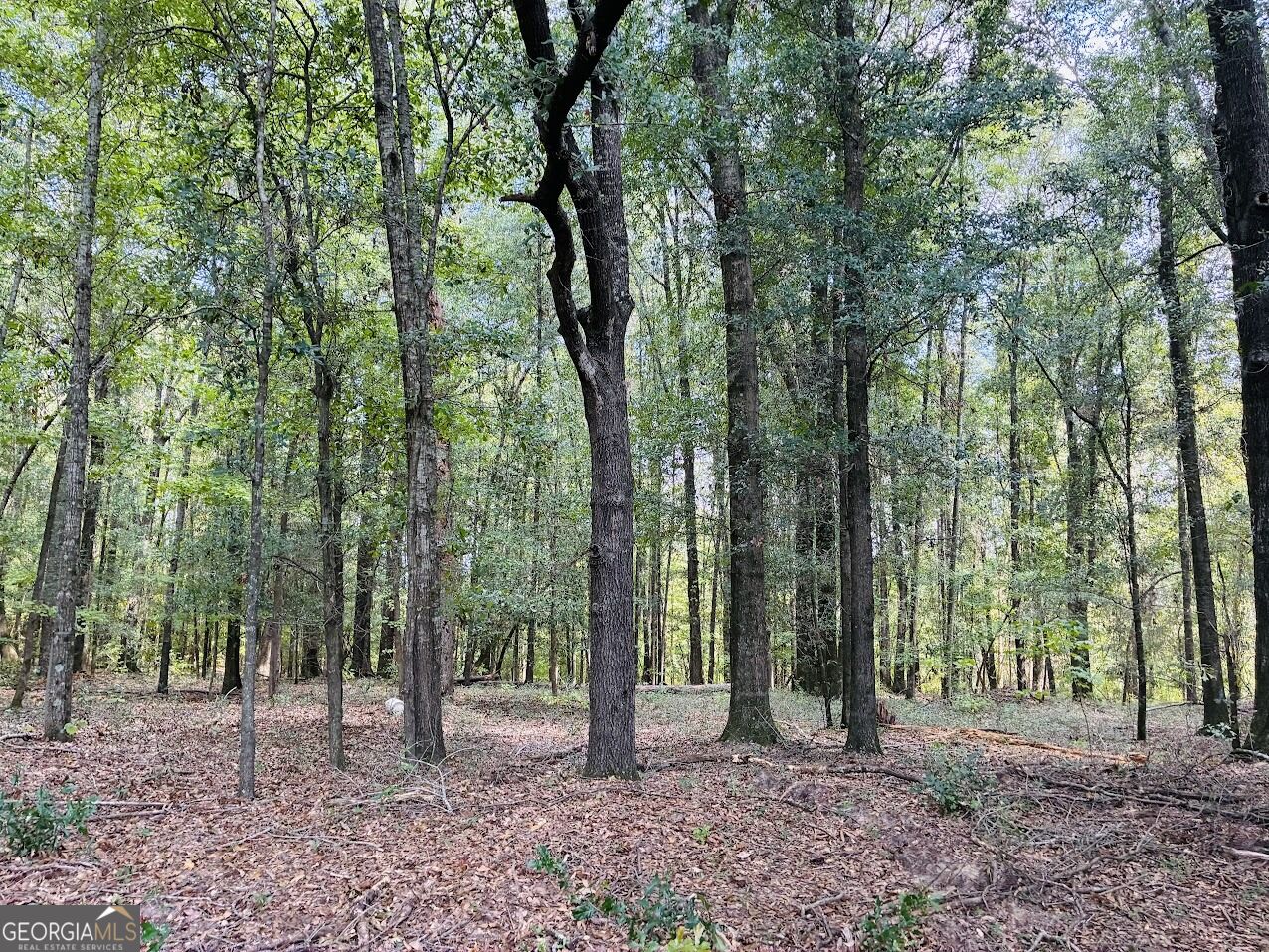 0 Fouche Road Buena Vista GA 31803