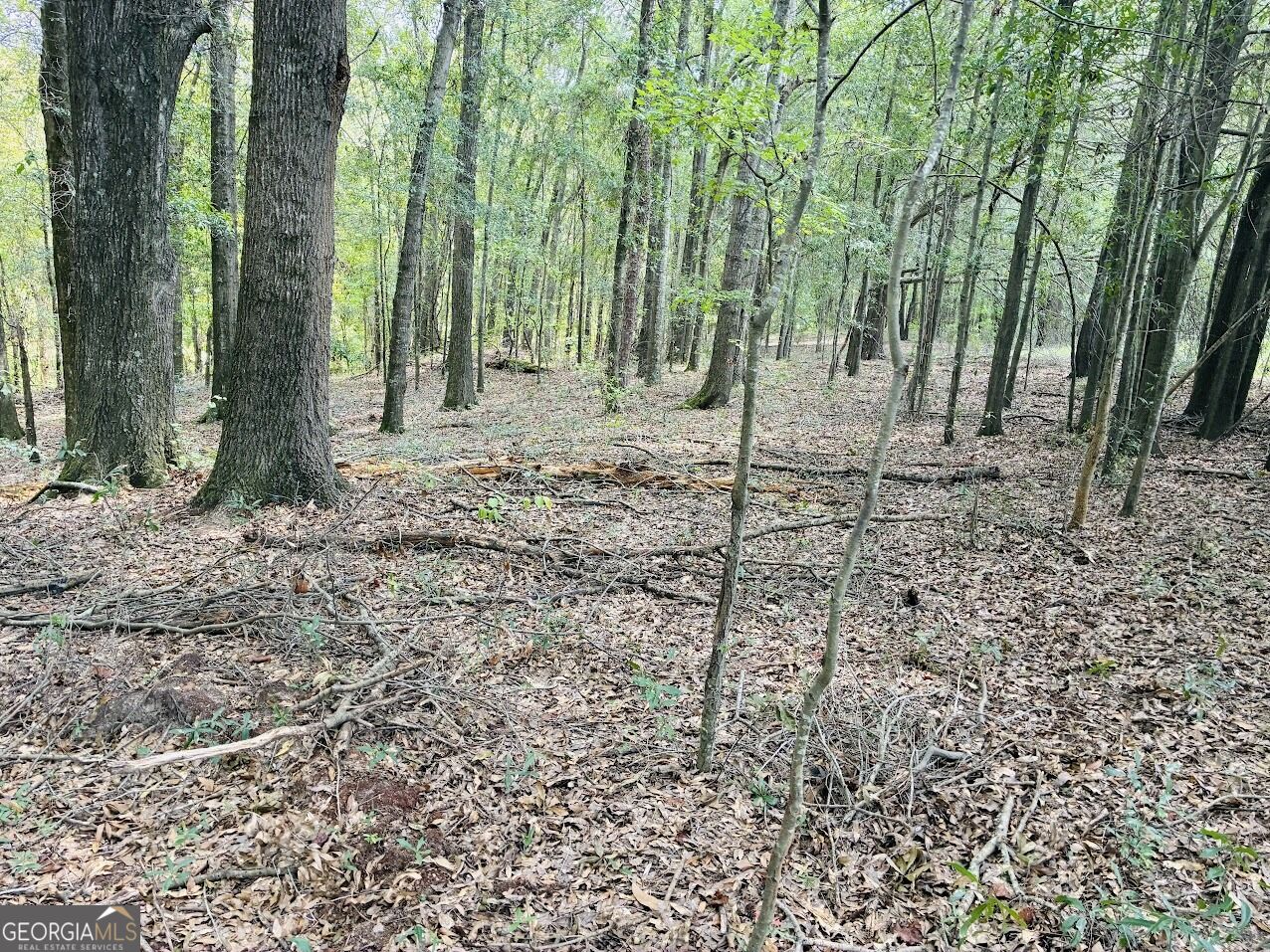 0 Fouche Road Buena Vista GA 31803