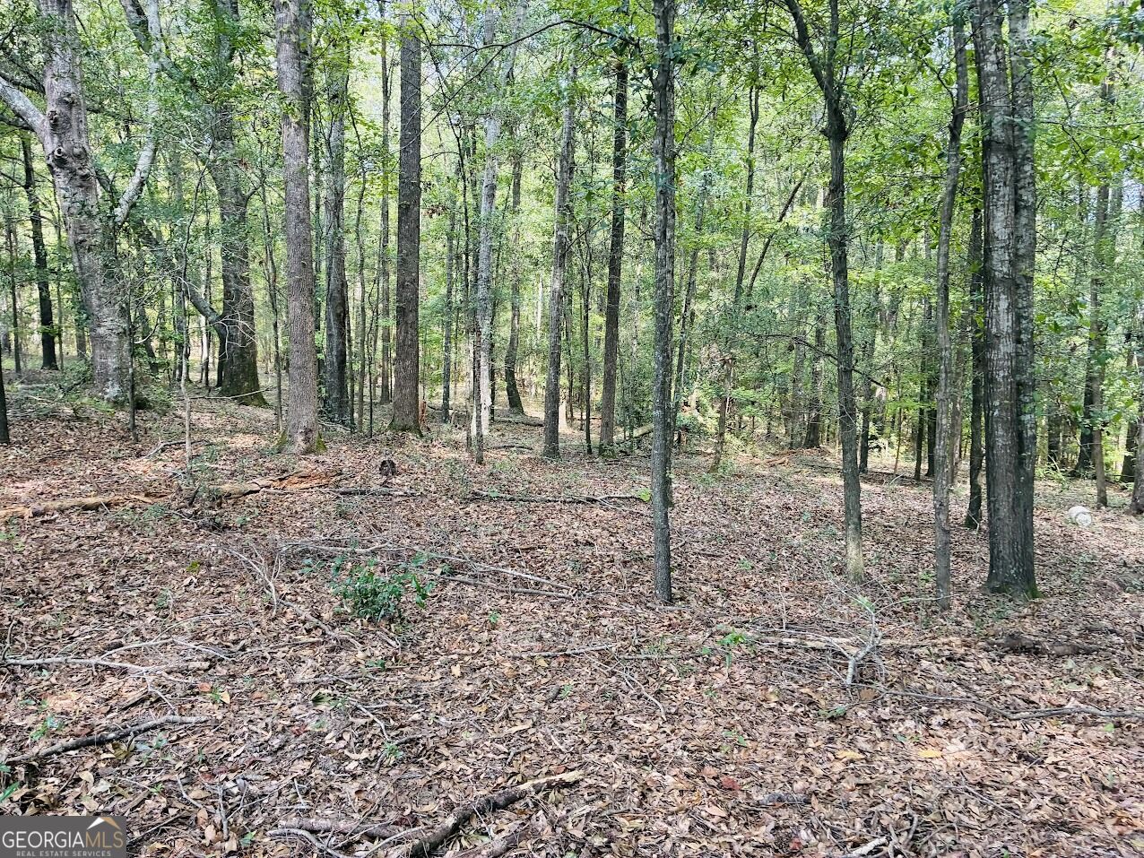 0 Fouche Road Buena Vista GA 31803