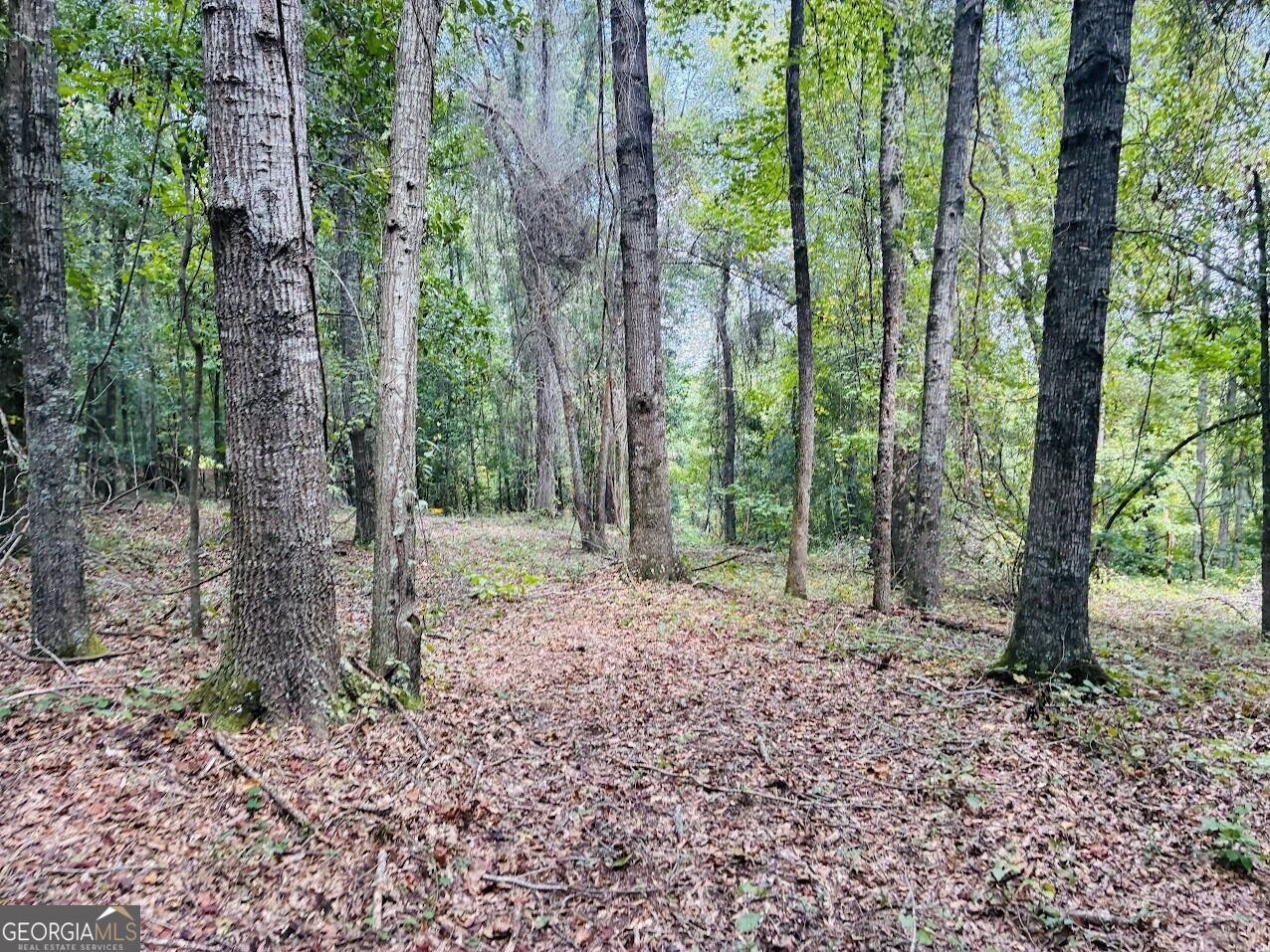 0 Fouche Road Buena Vista GA 31803