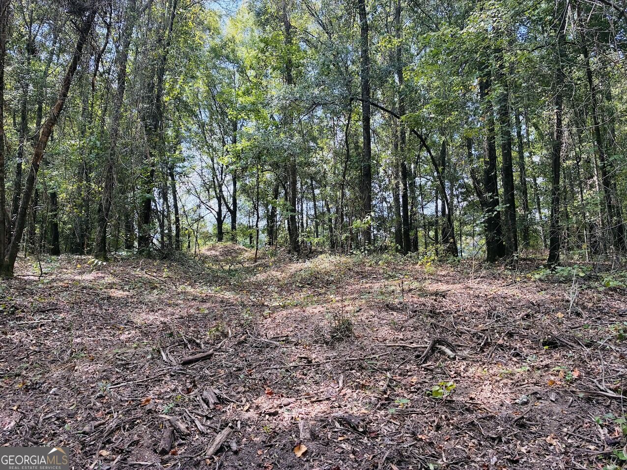 0 Fouche Road Buena Vista GA 31803