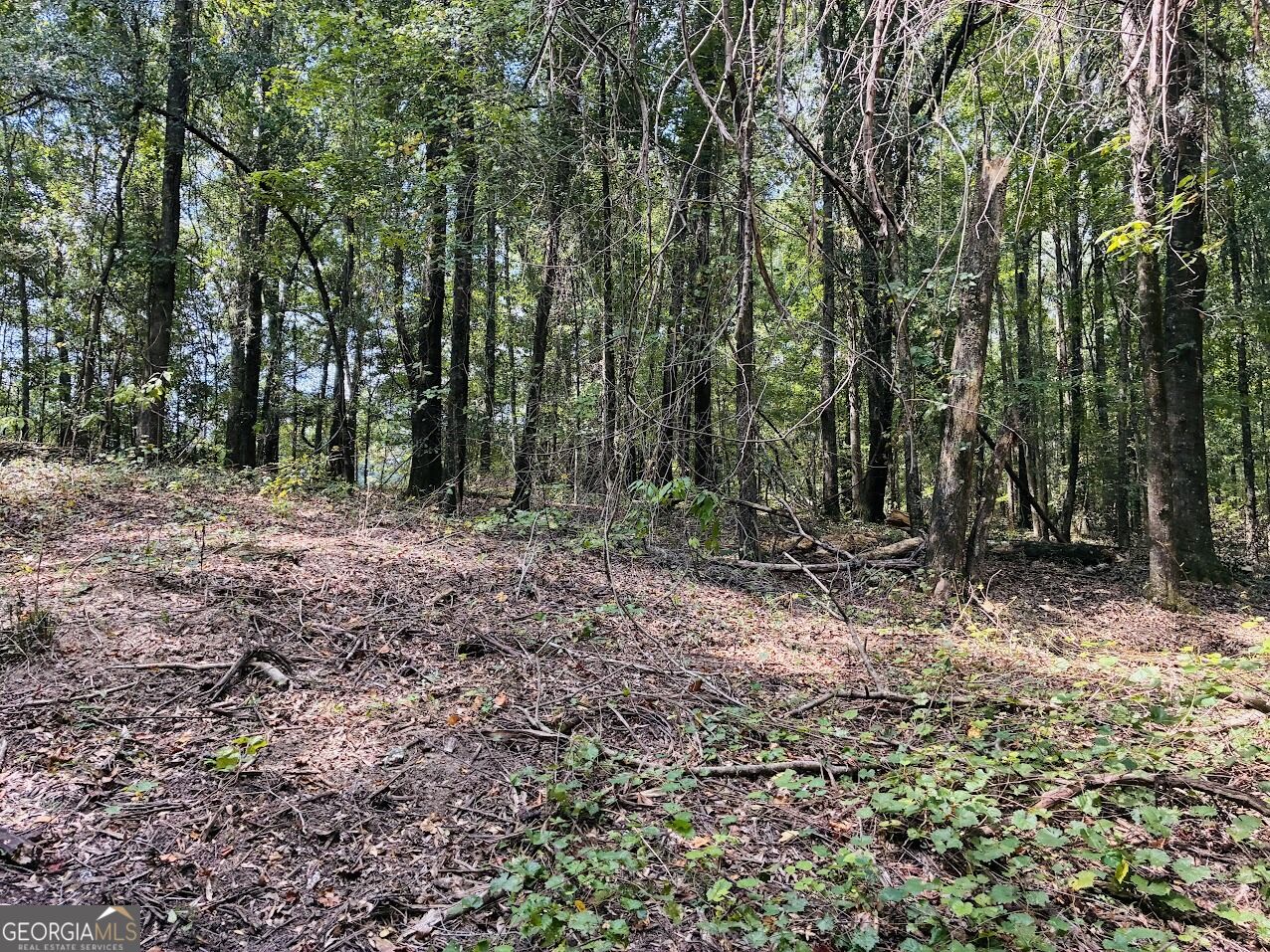 0 Fouche Road Buena Vista GA 31803