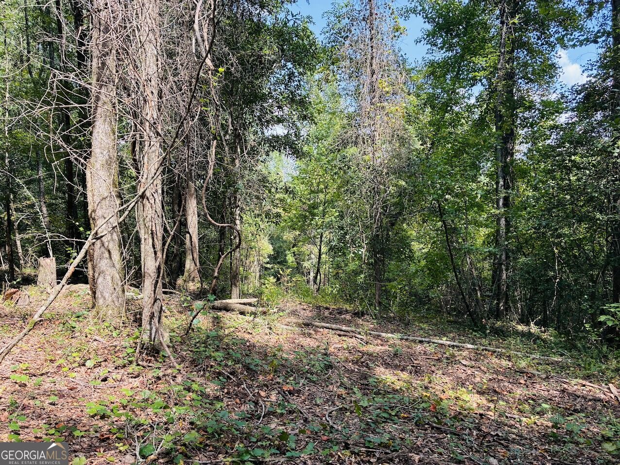 0 Fouche Road Buena Vista GA 31803
