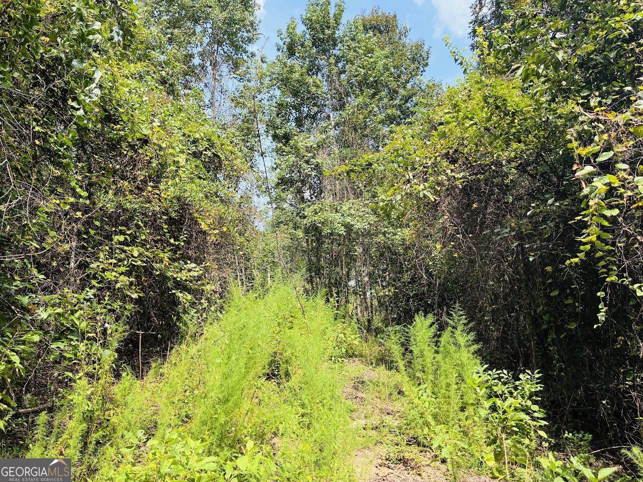 0 Fouche Road Buena Vista GA 31803