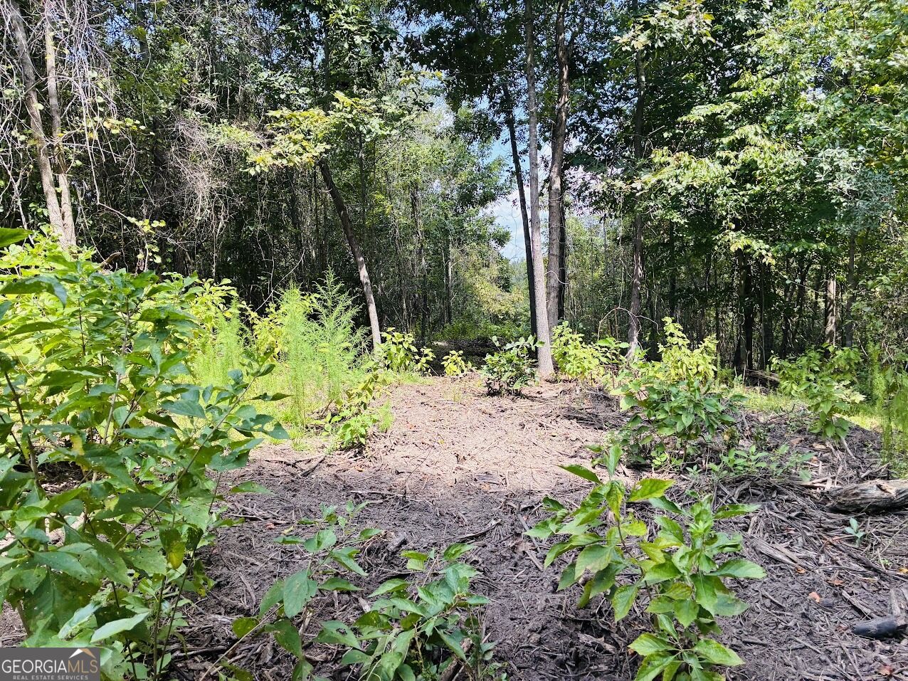 0 Fouche Road Buena Vista GA 31803