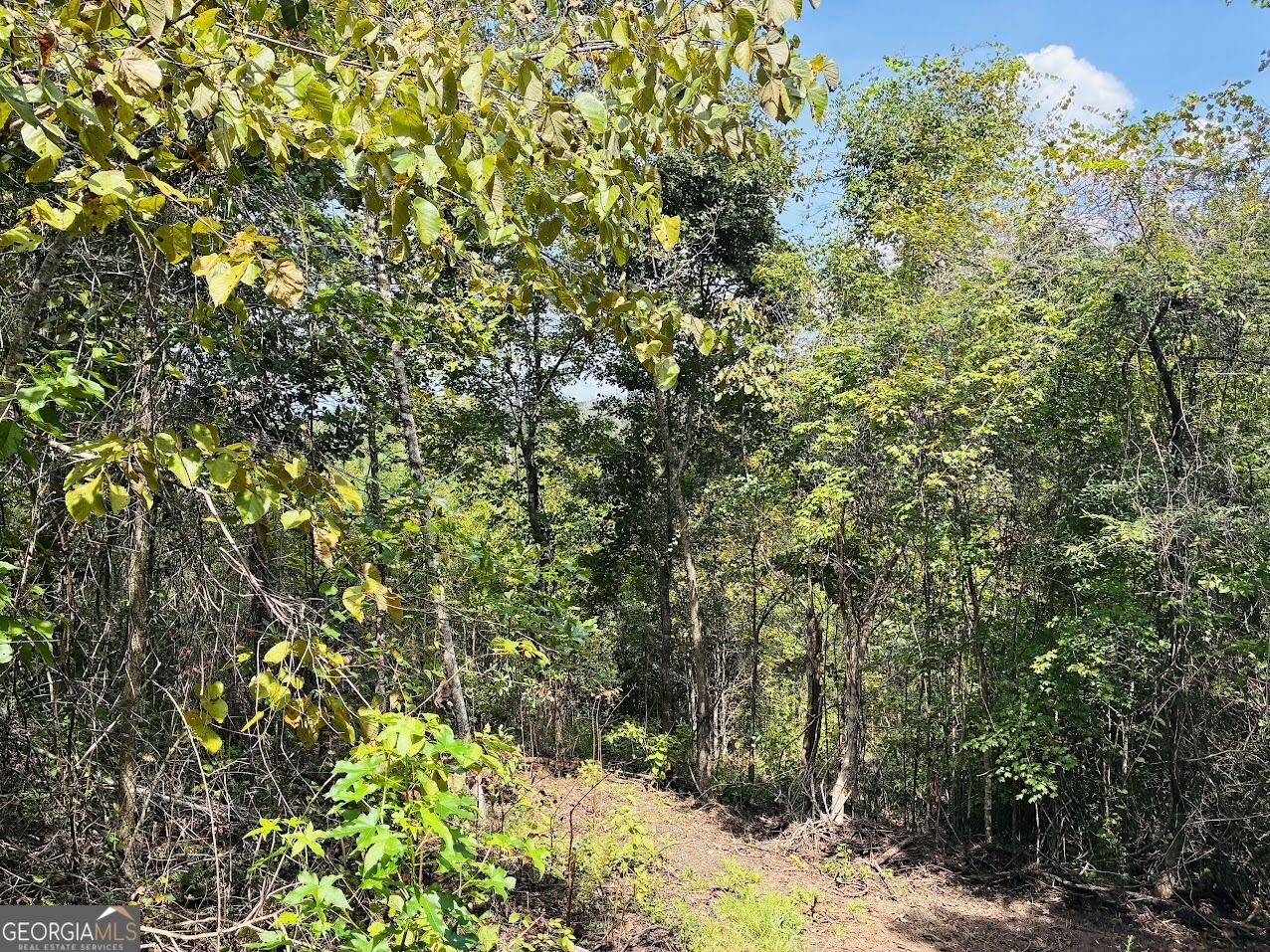 0 Fouche Road Buena Vista GA 31803