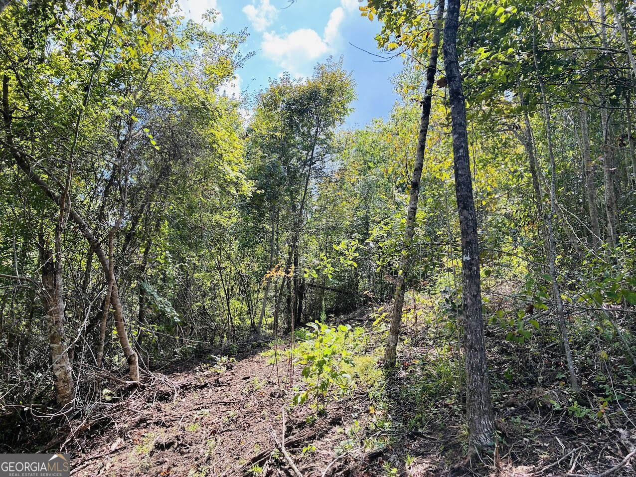 0 Fouche Road Buena Vista GA 31803