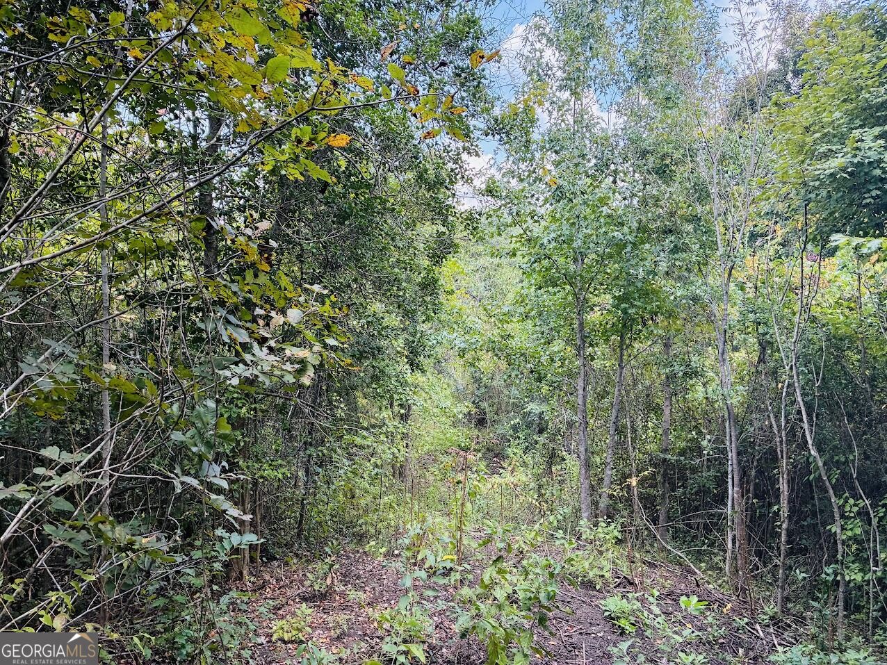 0 Fouche Road Buena Vista GA 31803