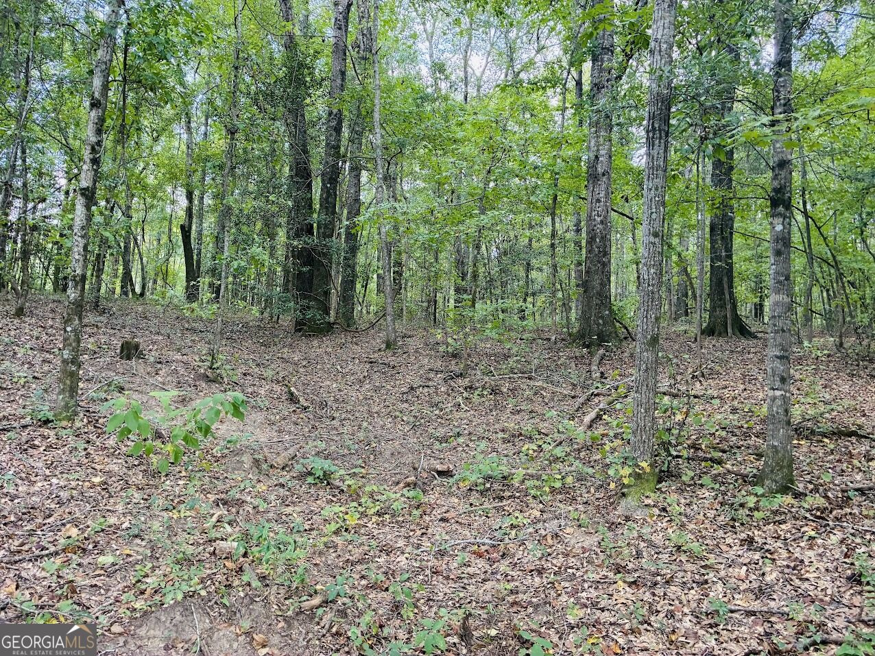0 Fouche Road Buena Vista GA 31803