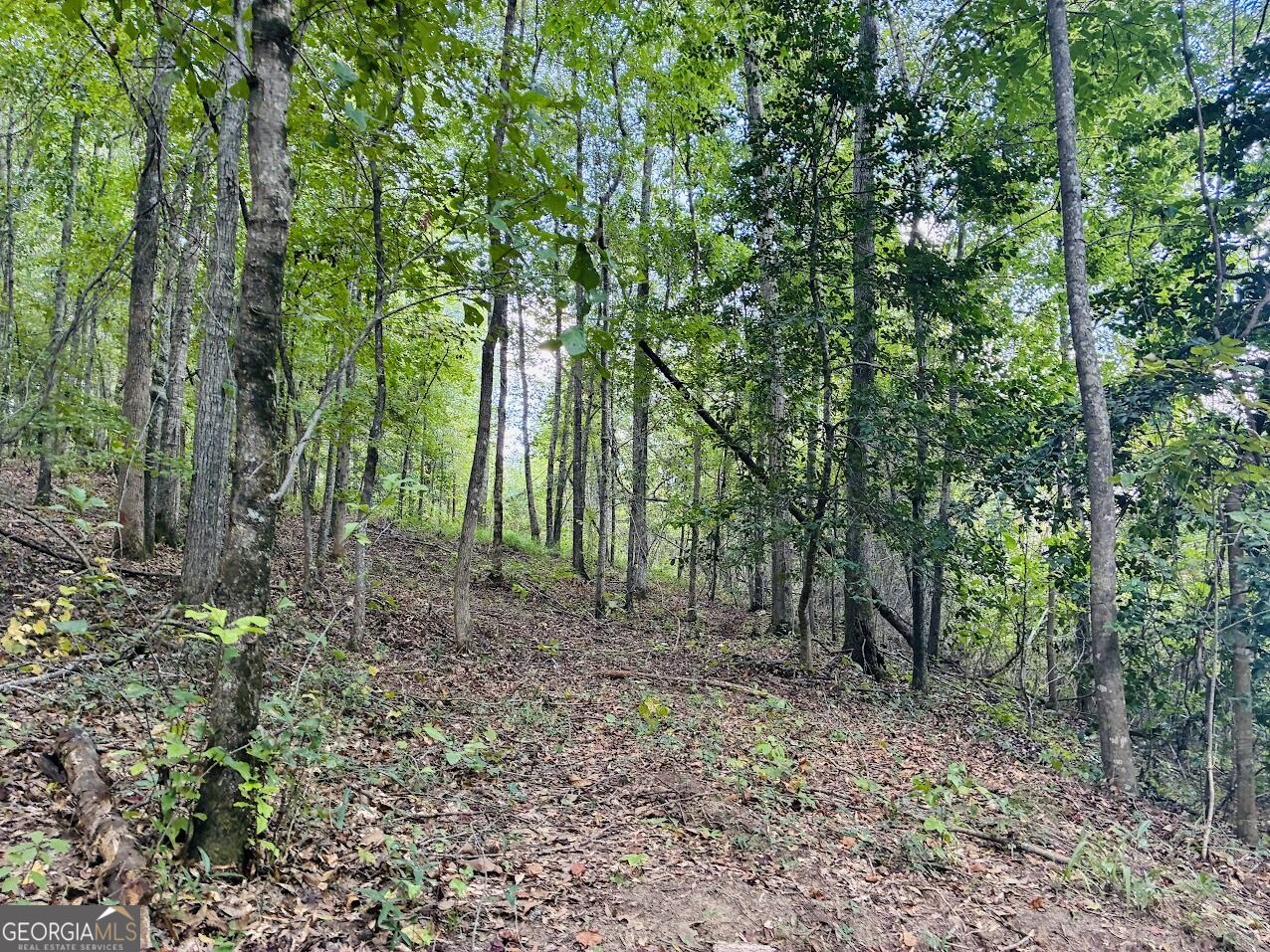0 Fouche Road Buena Vista GA 31803