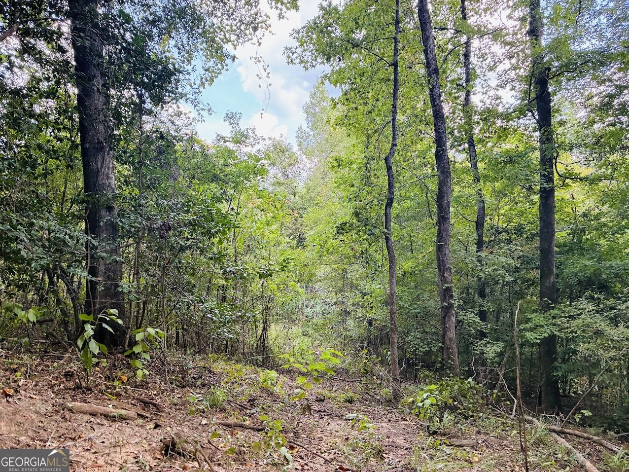 0 Fouche Road Buena Vista GA 31803